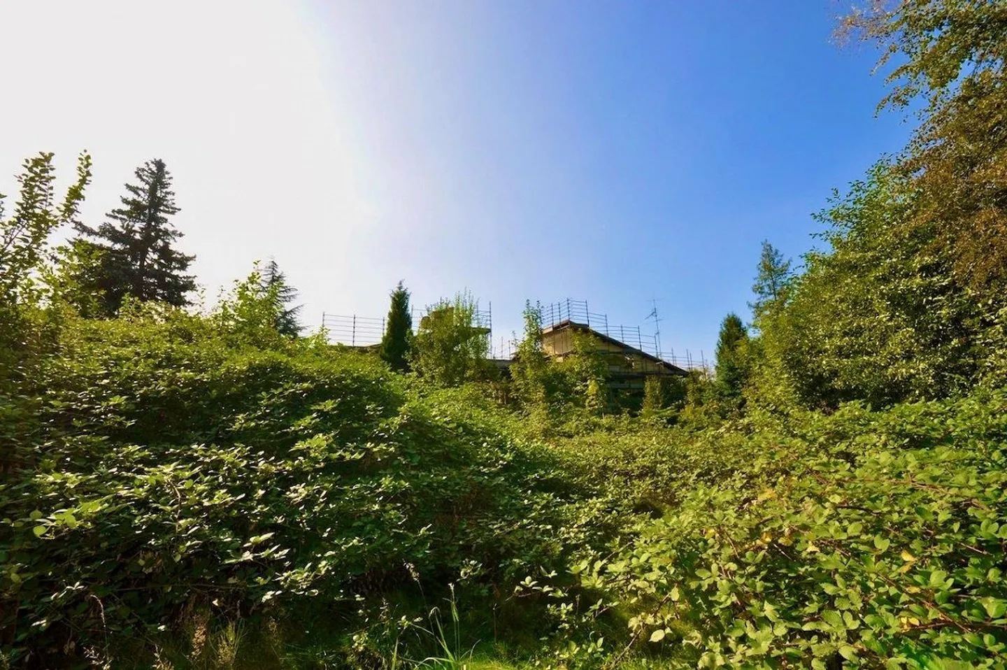 Villa zur Renovierung umgeben von einem großen Park mit viel Privatsphäre - Foto 11 von 24