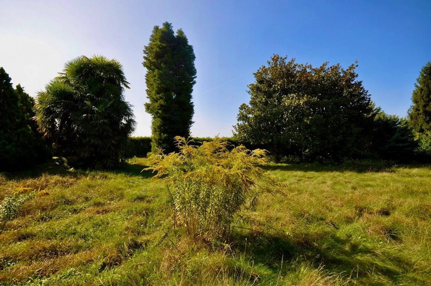 Villa zur Renovierung umgeben von einem großen Park mit viel Privatsphäre - Foto 12 von 24