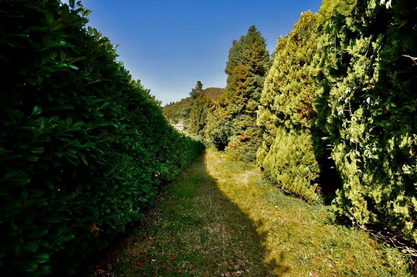 Villa zur Renovierung umgeben von einem großen Park mit viel Privatsphäre - Foto 13 von 24