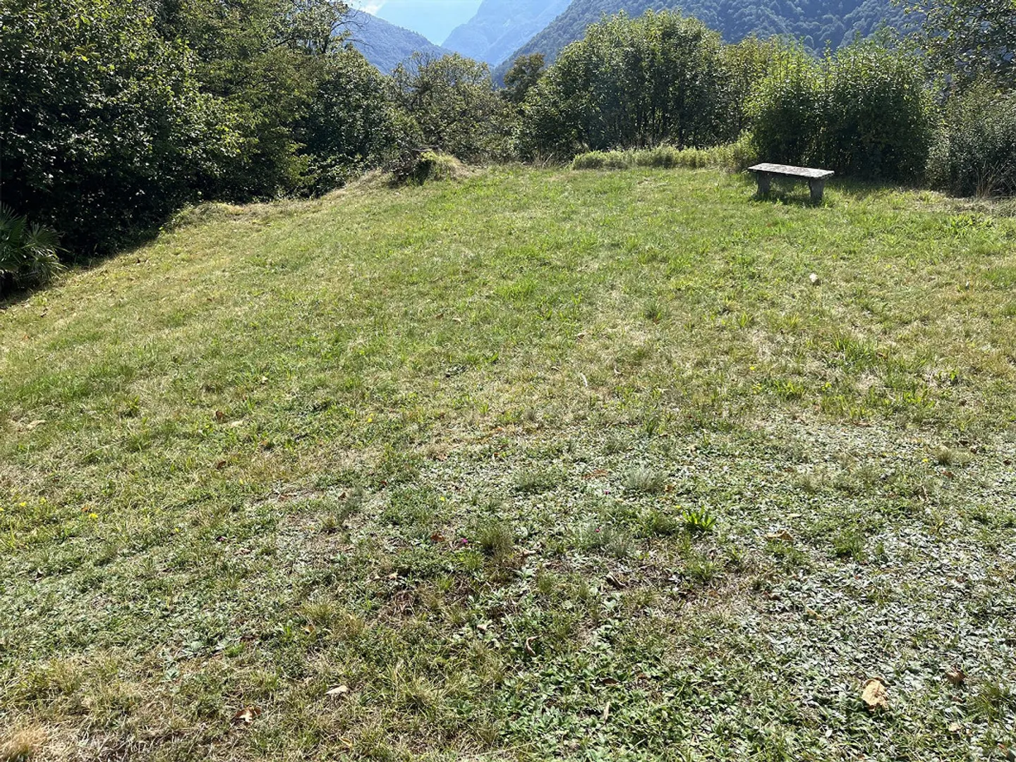 Golo Mann Rustico - Photo 15 of 15