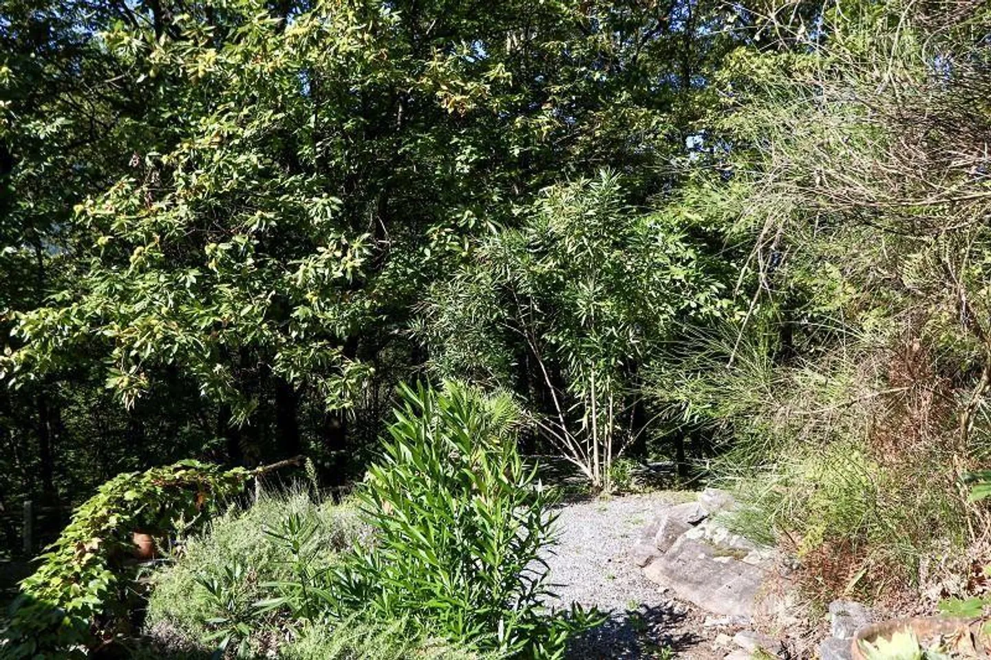 rustico di 3 1/2 locali, molto soleggiata, tranquilla bella vista - Foto 27 di 40
