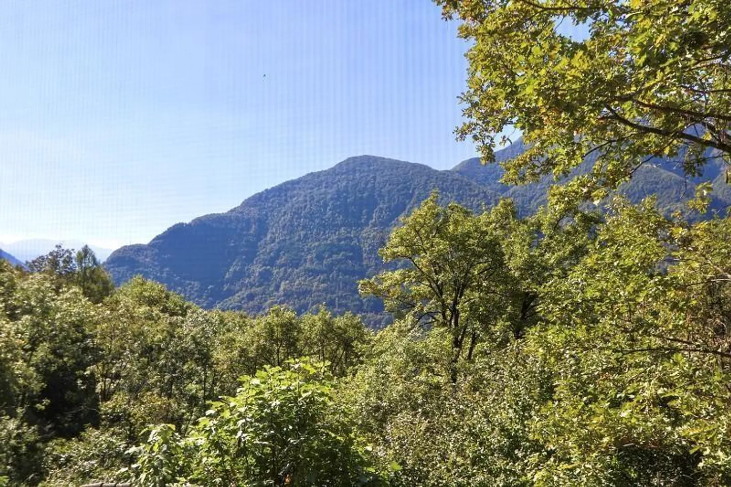 rustico di 3 1/2 locali, molto soleggiata, tranquilla bella vista - Foto 29 di 40
