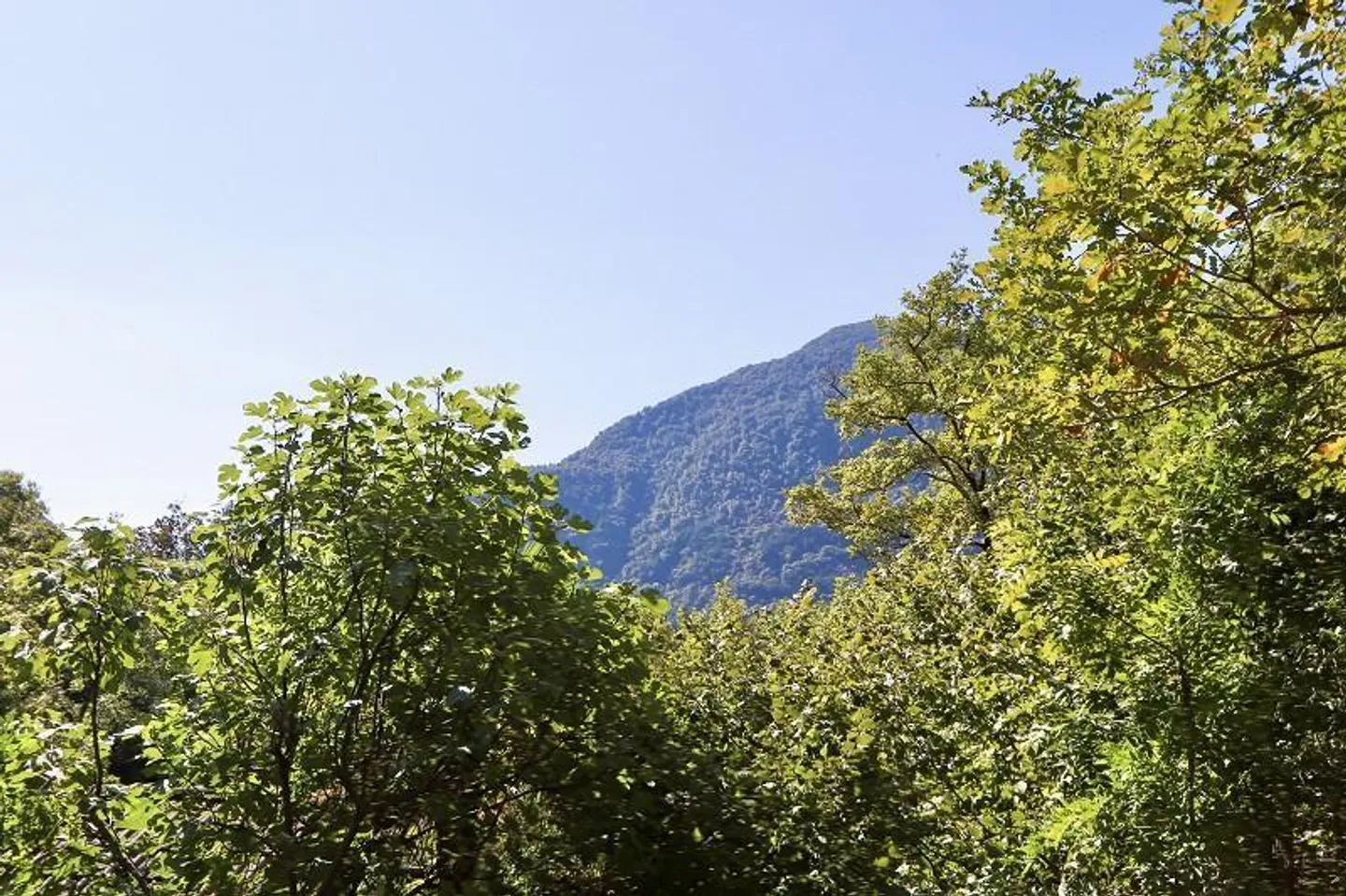 rustico di 3 1/2 locali, molto soleggiata, tranquilla bella vista - Foto 30 di 40