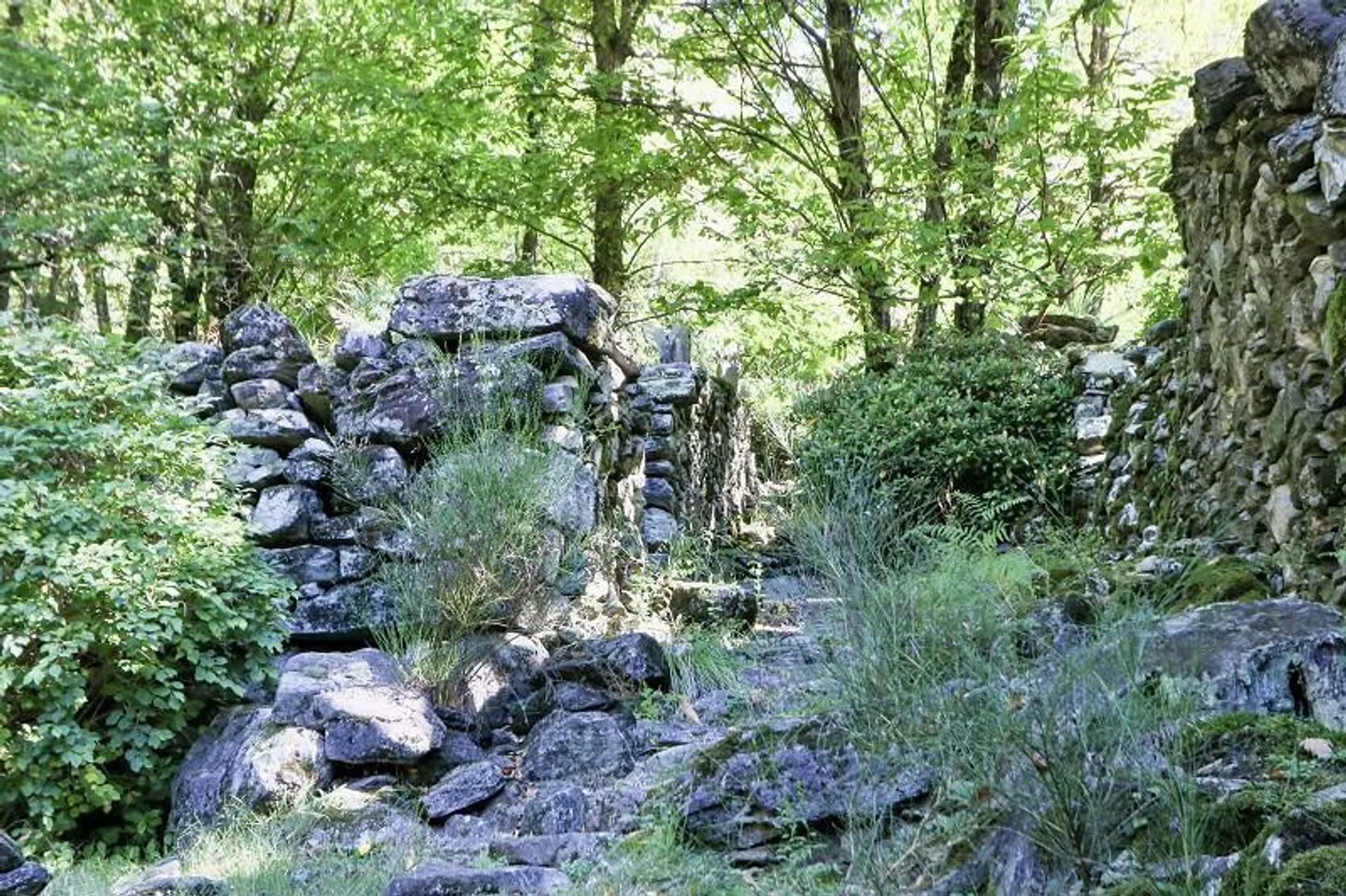 rustico di 3 1/2 locali, molto soleggiata, tranquilla bella vista - Foto 32 di 40
