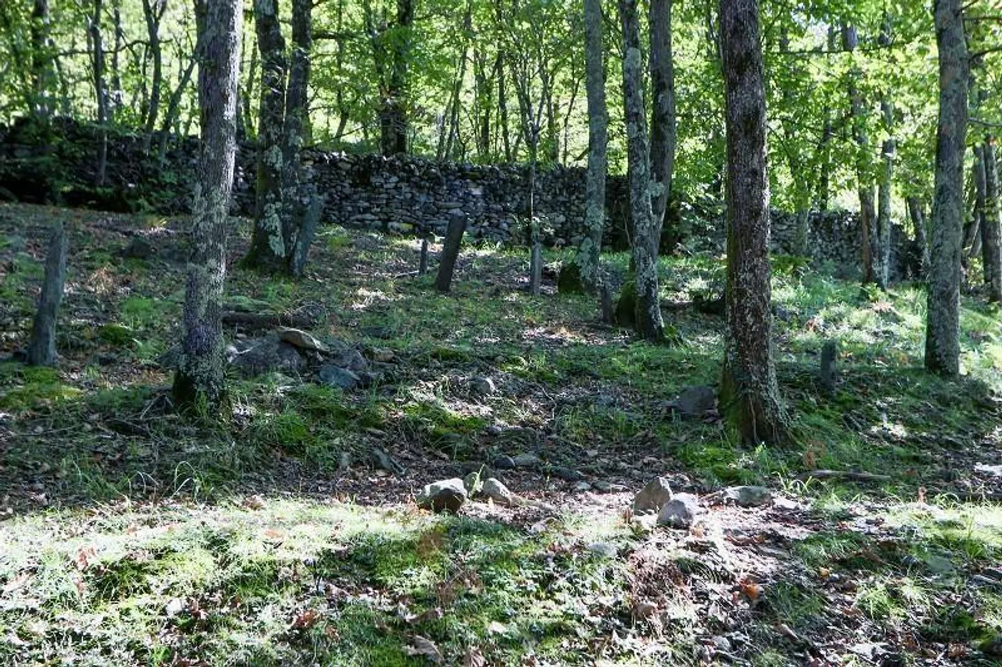 rustico di 3 1/2 locali, molto soleggiata, tranquilla bella vista - Foto 31 di 40