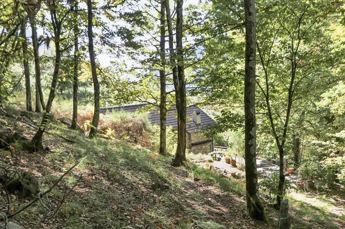rustico di 3 1/2 locali, molto soleggiata, tranquilla bella vista - Foto 33 di 40