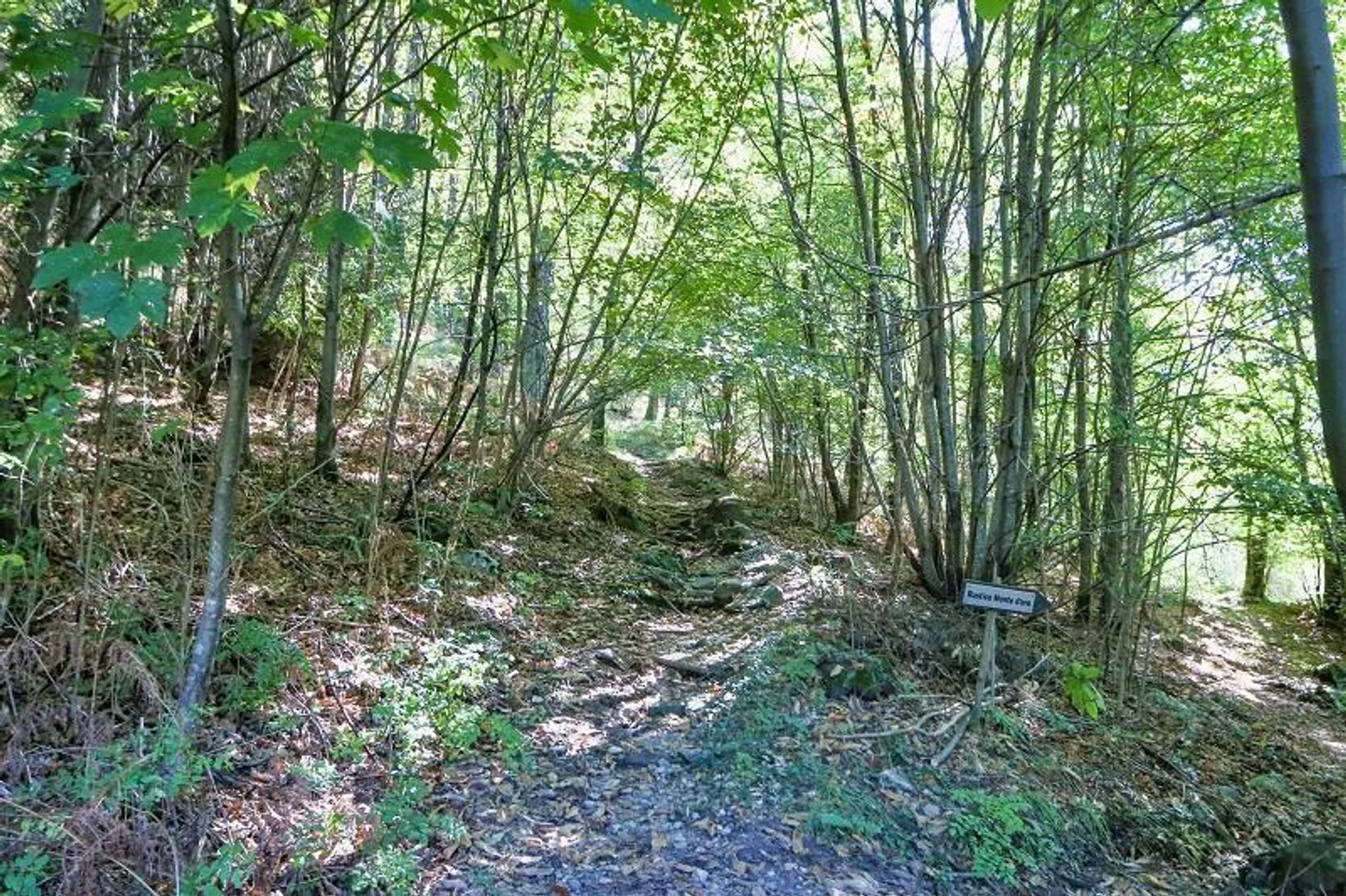 rustico di 3 1/2 locali, molto soleggiata, tranquilla bella vista - Foto 34 di 40