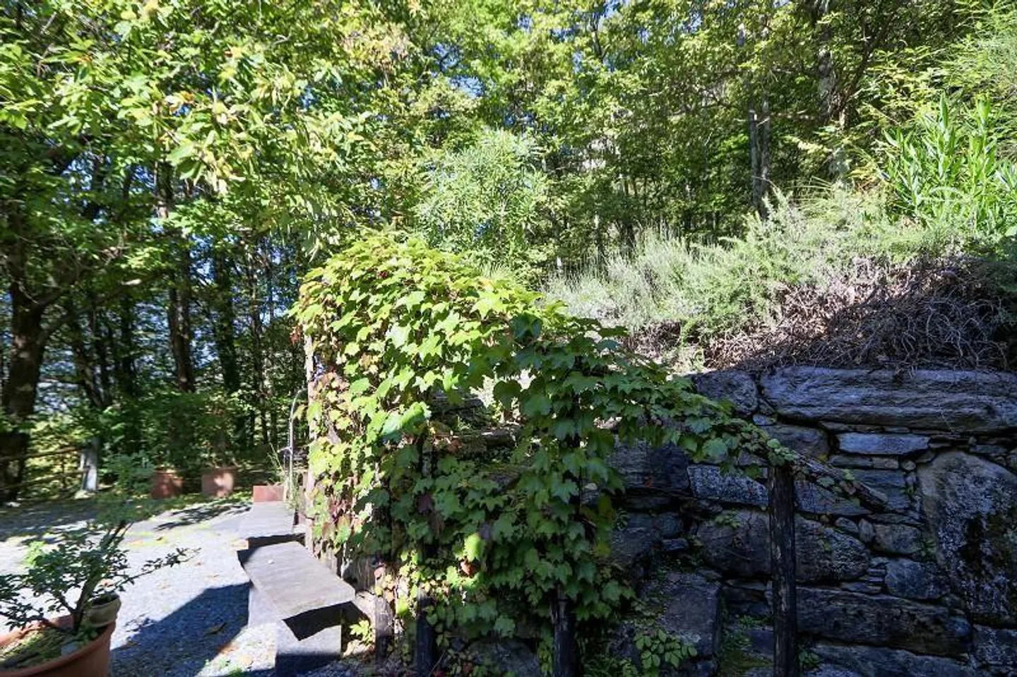 rustico di 3 1/2 locali, molto soleggiata, tranquilla bella vista - Foto 25 di 40