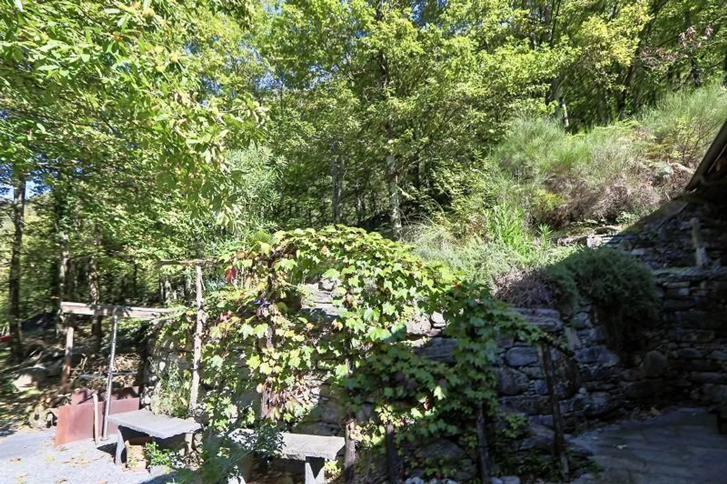 rustico di 3 1/2 locali, molto soleggiata, tranquilla bella vista - Foto 26 di 40