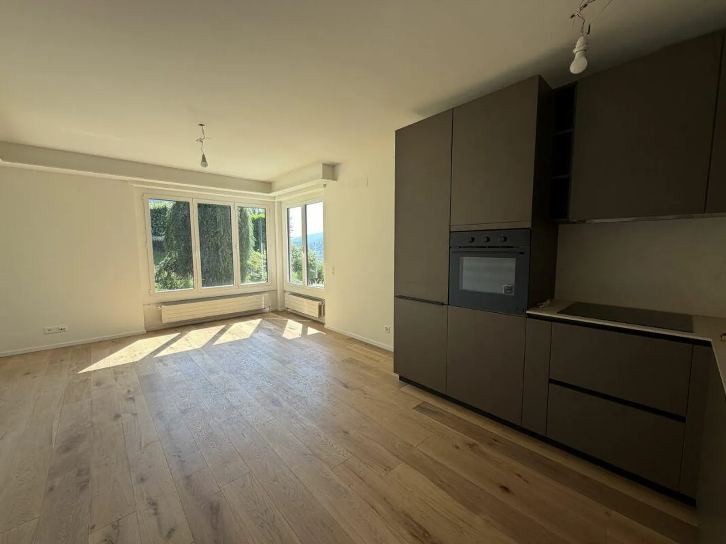 3.5 locali ristrutturato con bellissima vista - Photo 5 sur 6