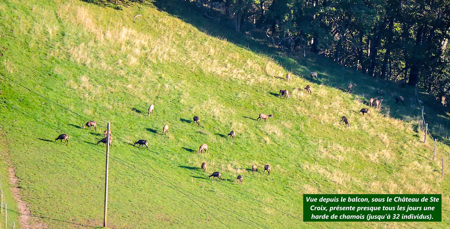 Maisonette-PSA de 4,5 pièces avec 2 balcons
Bungalow - vue magnifique - Photo 17 sur 17