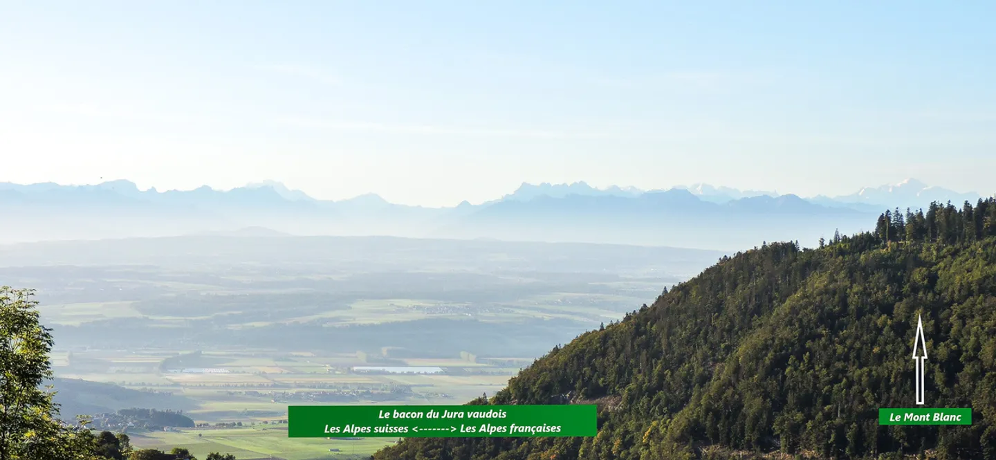 Maisonette-PSA de 4,5 pièces avec 2 balcons
Bungalow - vue magnifique - Photo 16 sur 17