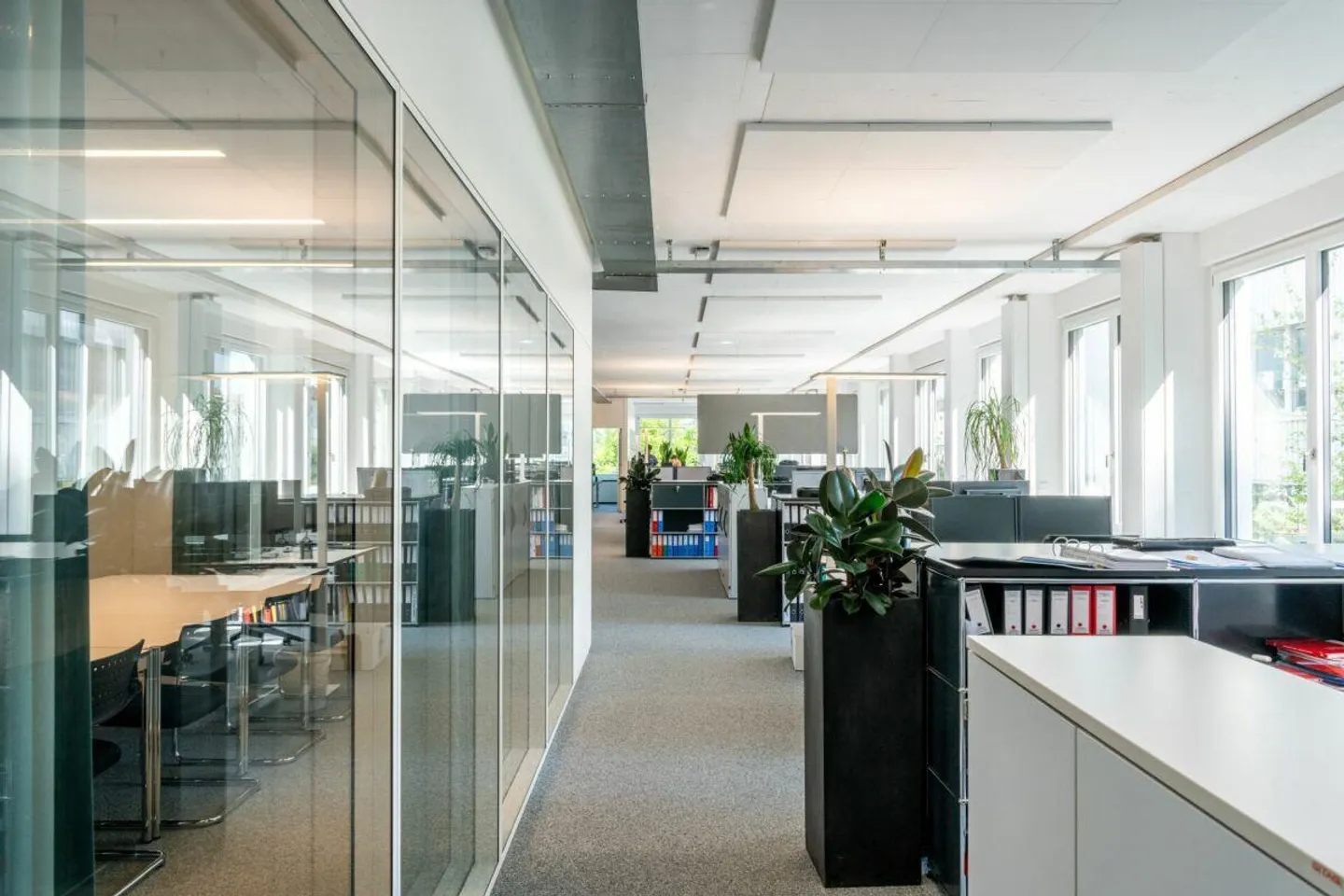 Vibrant Offices ? Energy Efficiency Meets Comfort - Photo 5 of 20