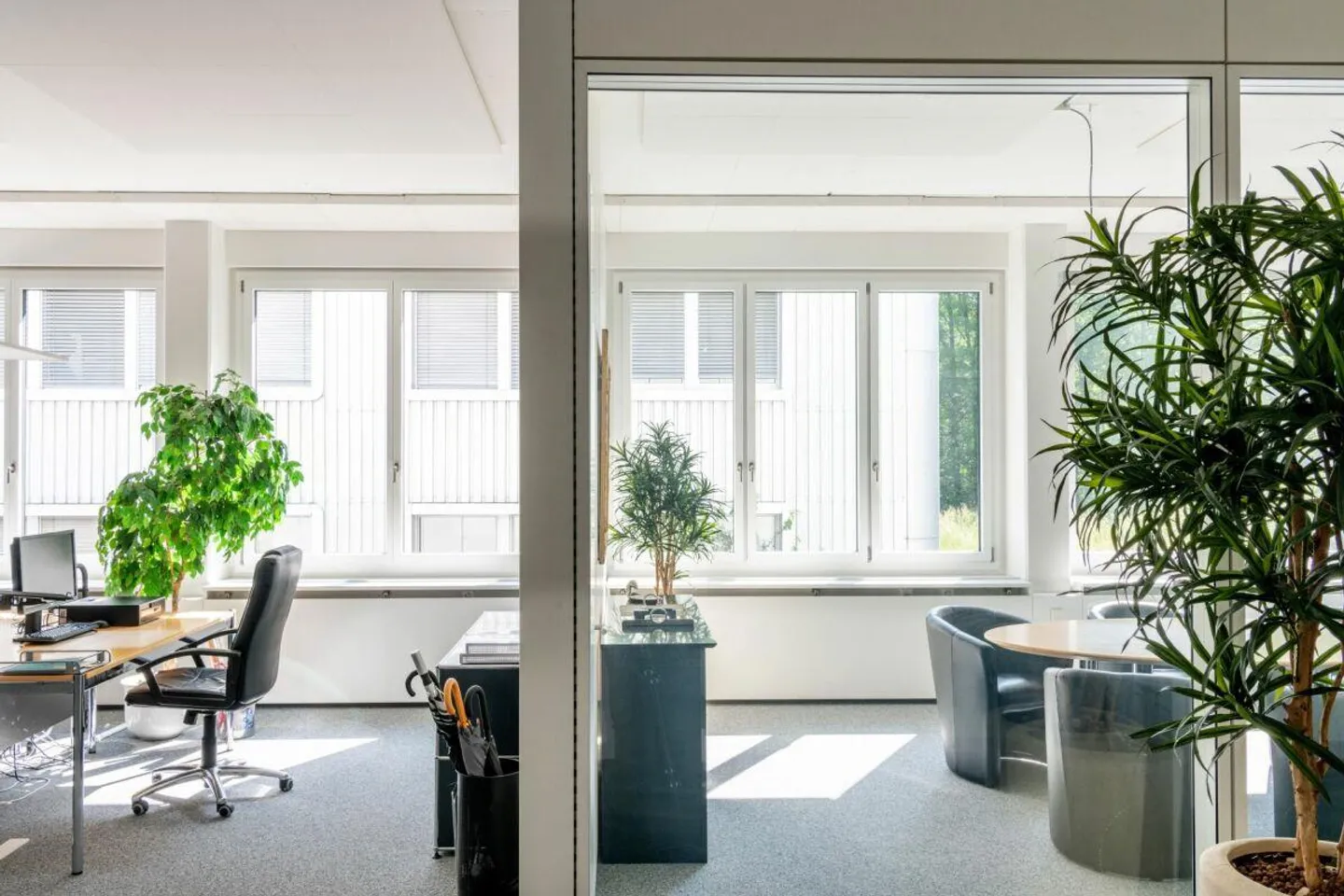 Vibrant Offices ? Energy Efficiency Meets Comfort - Photo 1 of 20