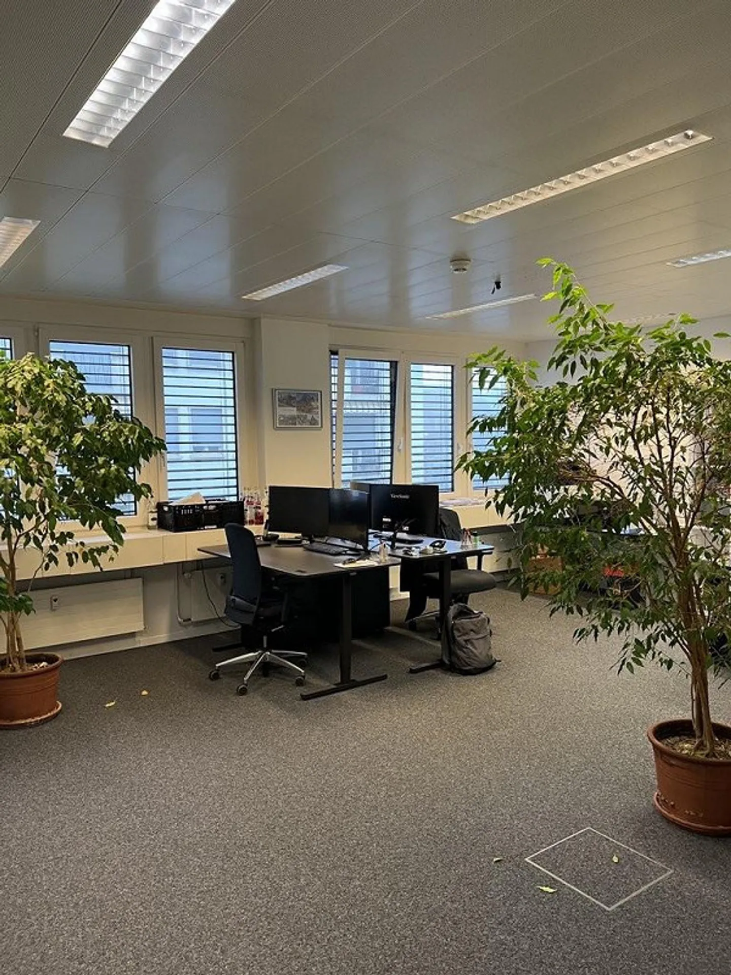 Bureaux lumineux dans un emplacement central à Olten - Photo 3 sur 8