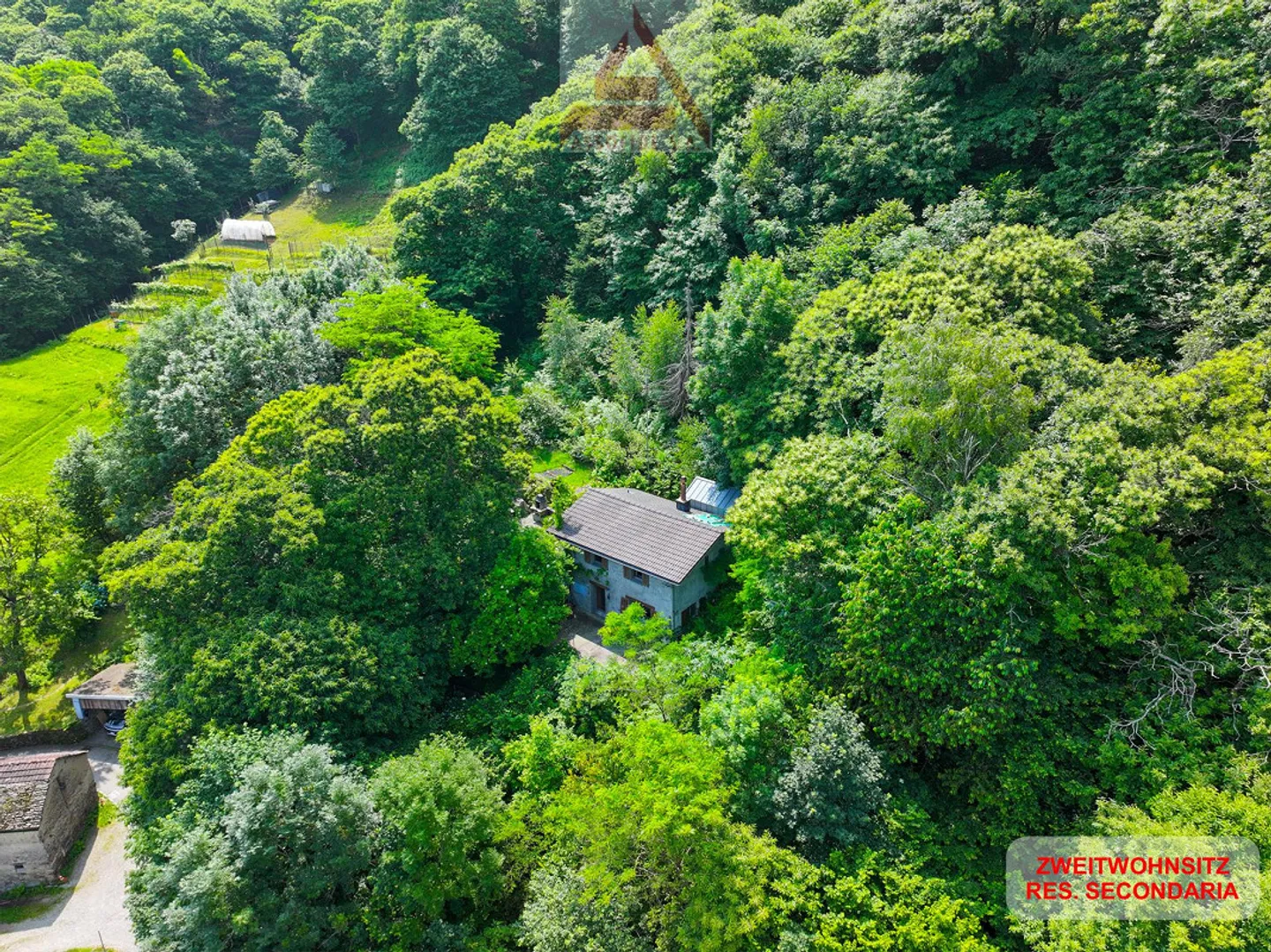 Maison immergée dans la verdure - Photo 1 sur 6