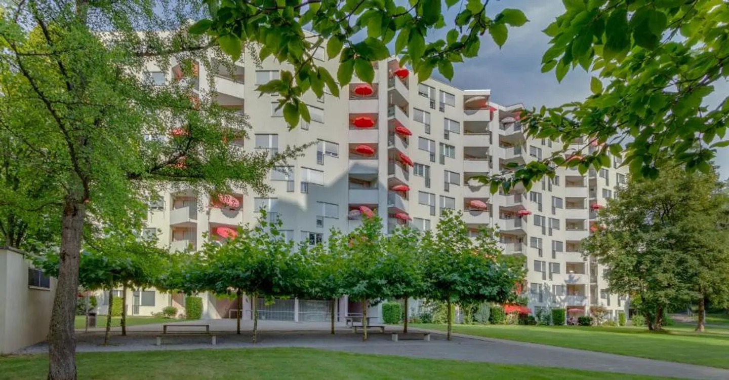 Bienvenue à l'Oasis! - Photo 2 sur 10