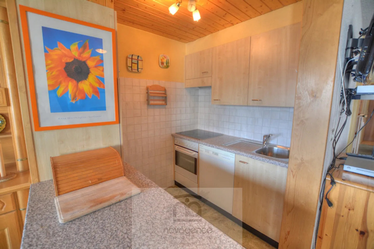 Renovated Apartment with Alpine View - Photo 6 of 11