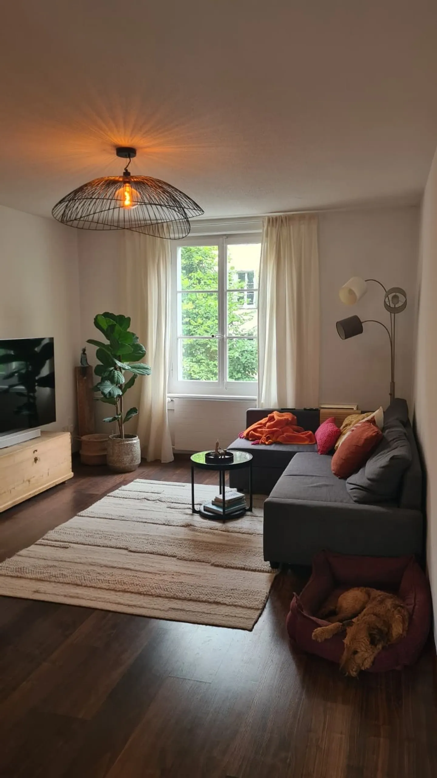 APPARTEMENT 2½ PIÈCES À BERNE - BREITENRAIN, MEUBLÉ, TEMPORAIRE - Photo 1 sur 6