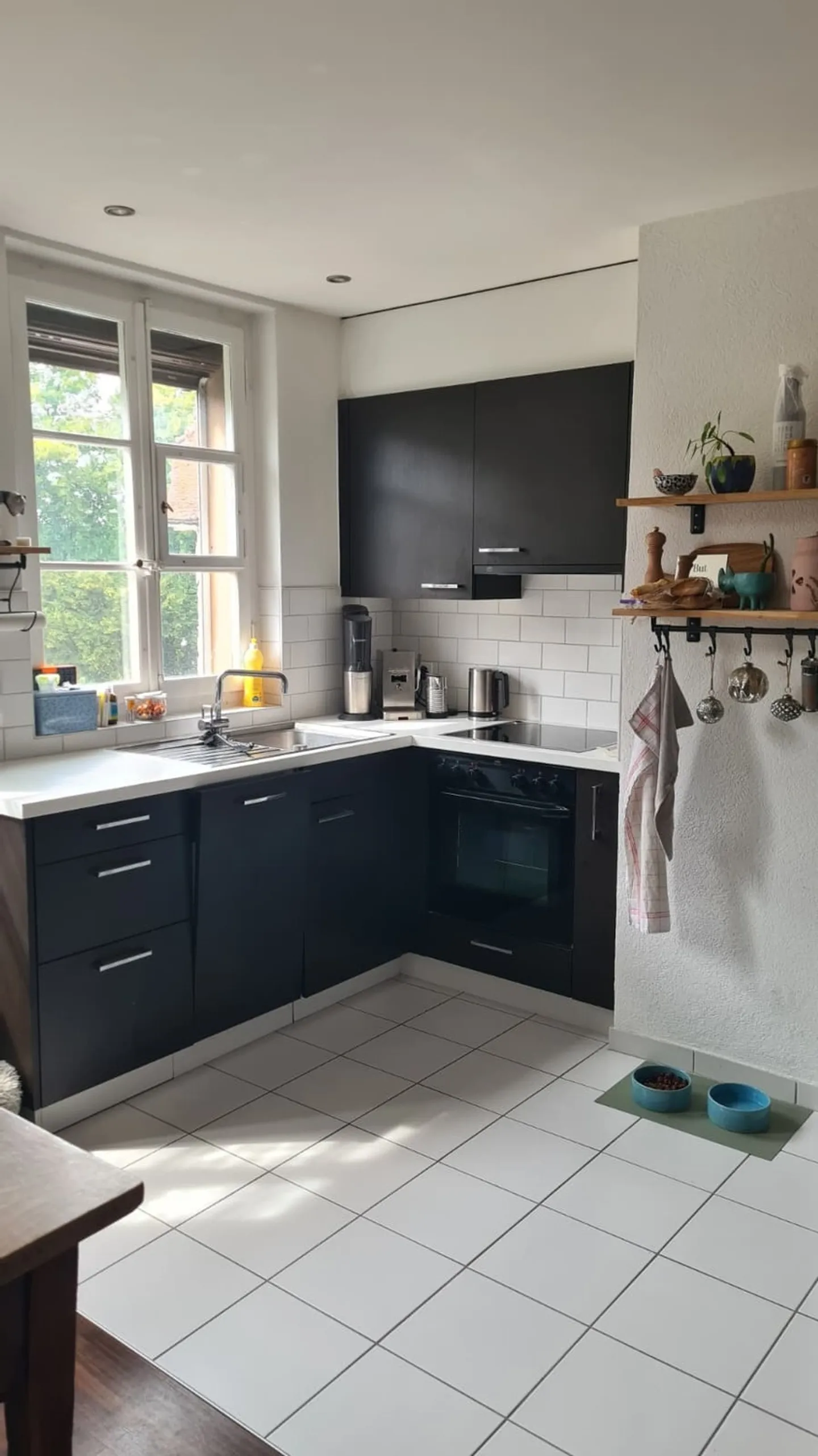 APPARTEMENT 2½ PIÈCES À BERNE - BREITENRAIN, MEUBLÉ, TEMPORAIRE - Photo 2 sur 6