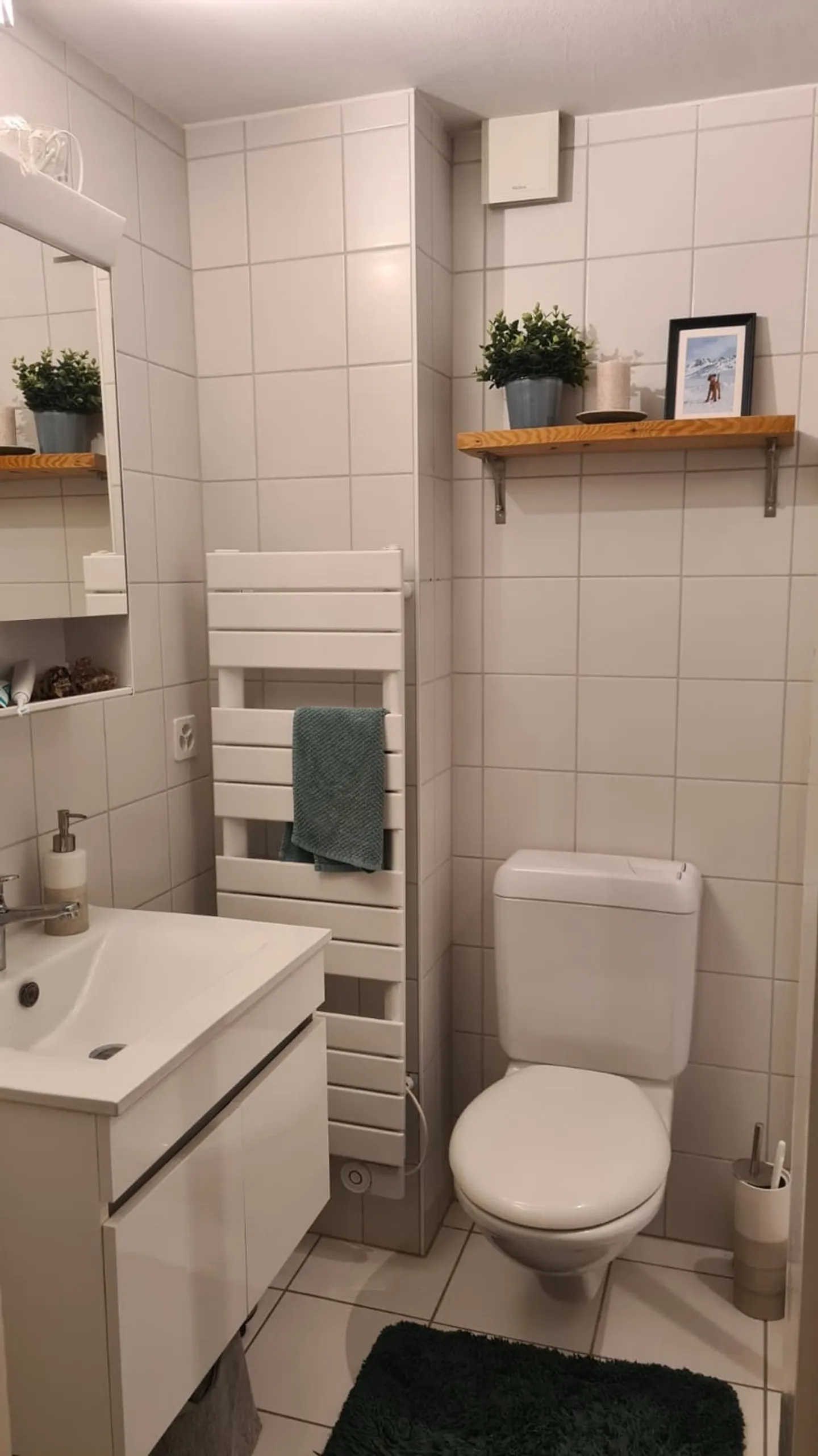 APPARTEMENT 2½ PIÈCES À BERNE - BREITENRAIN, MEUBLÉ, TEMPORAIRE - Photo 6 sur 6