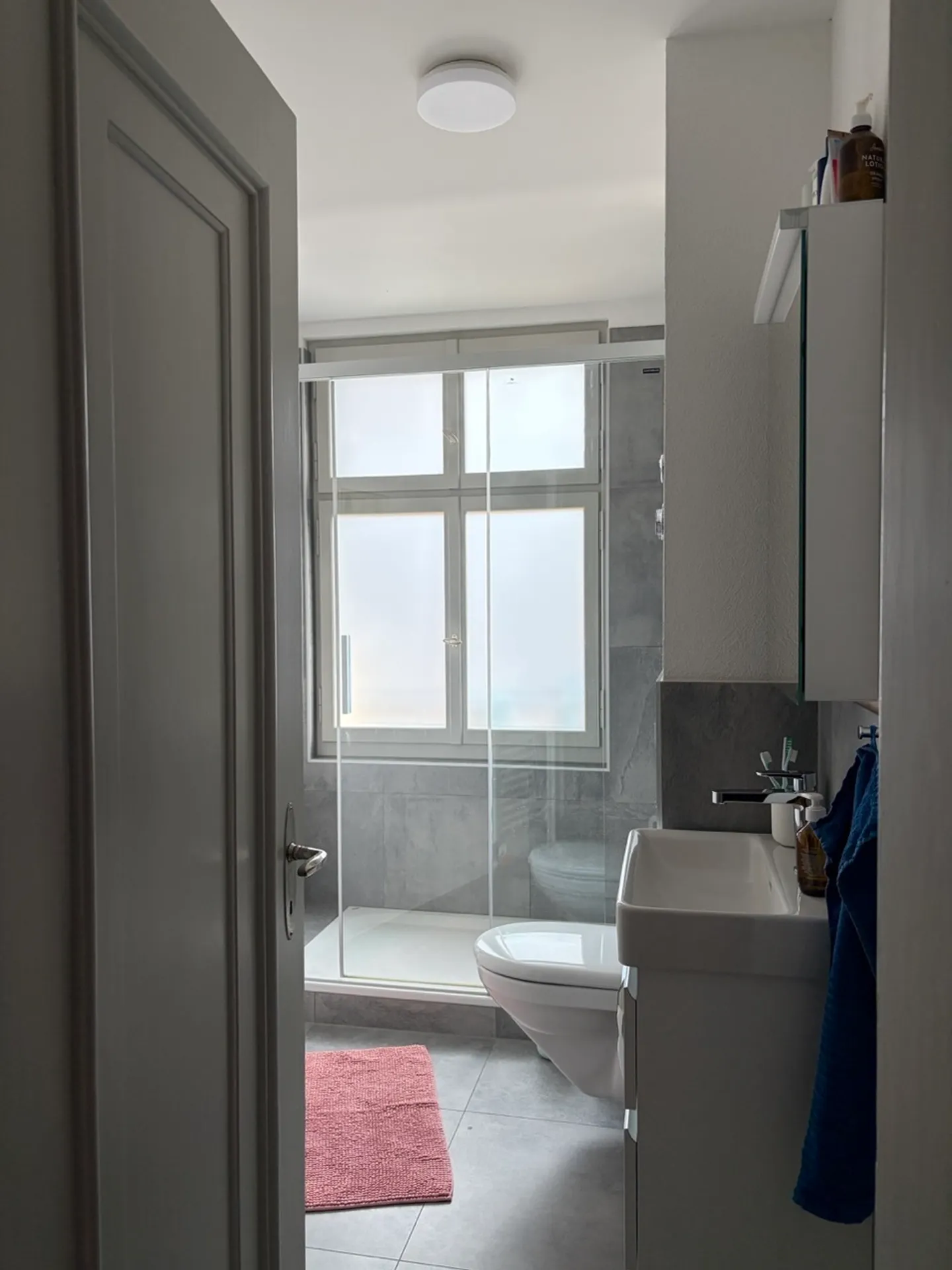 2 ROOM APARTMENT IN BERN - WEISSENBÜHL, FURNISHED, TEMPORARY - Photo 7 of 10