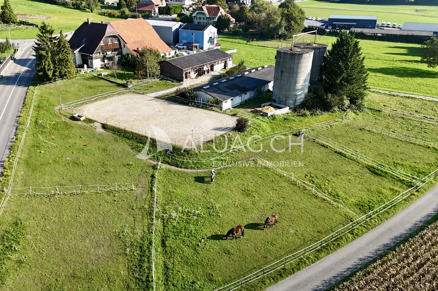 Domaine rural de rêve pour les humains et les animaux - Photo 2 sur 18