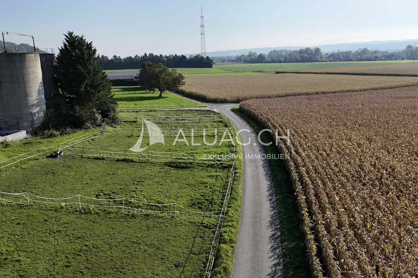 Domaine rural de rêve pour les humains et les animaux - Photo 3 sur 18