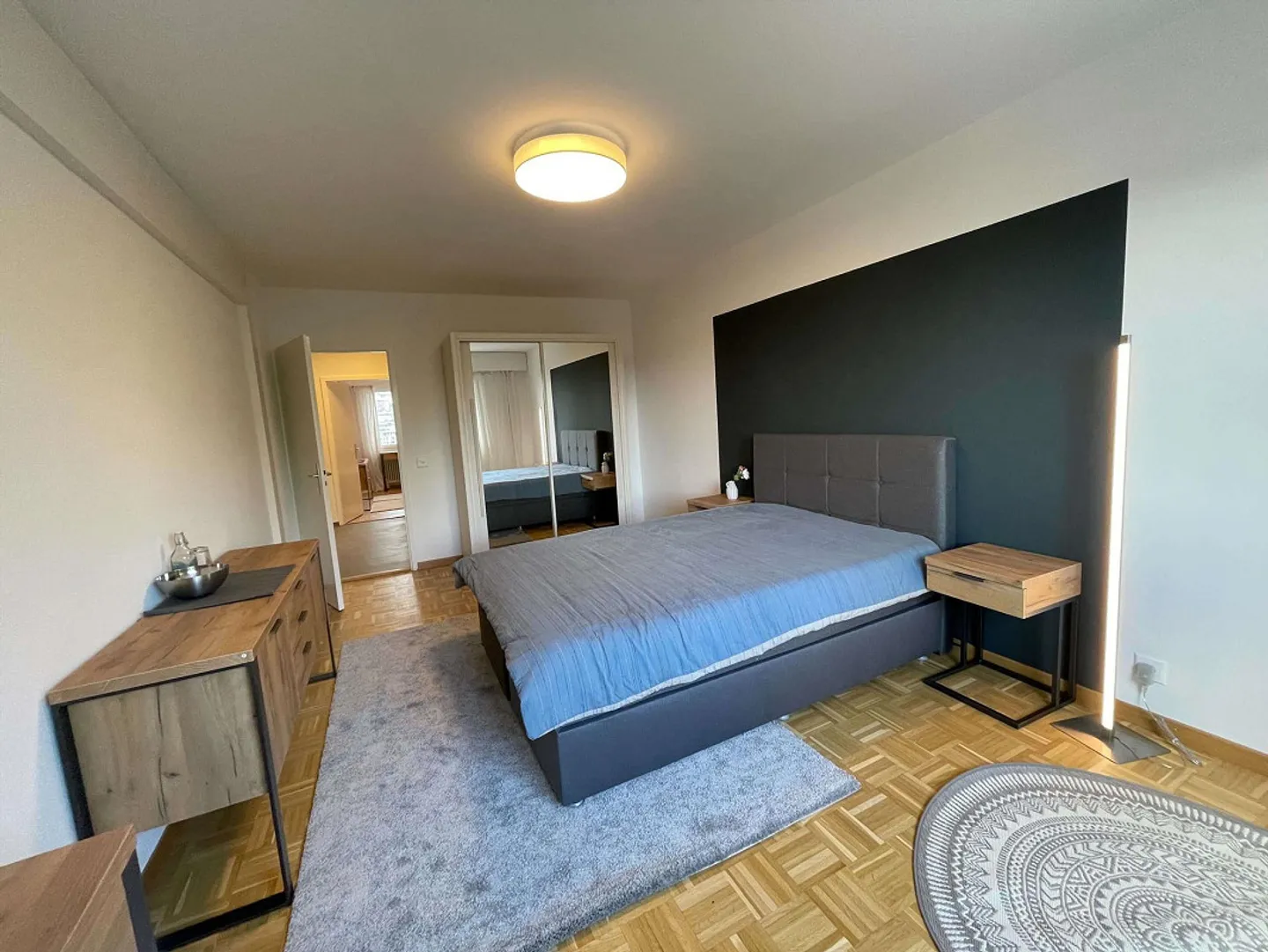 Furnished Room in Modern Apartment - Photo 1 of 19
