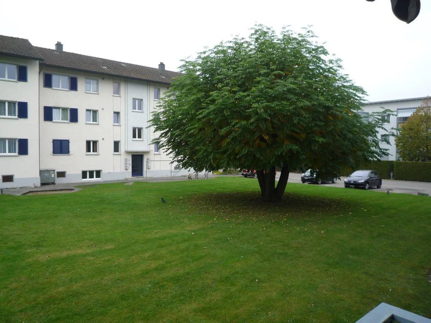 Living in the city yet in the green - Photo 13 of 13