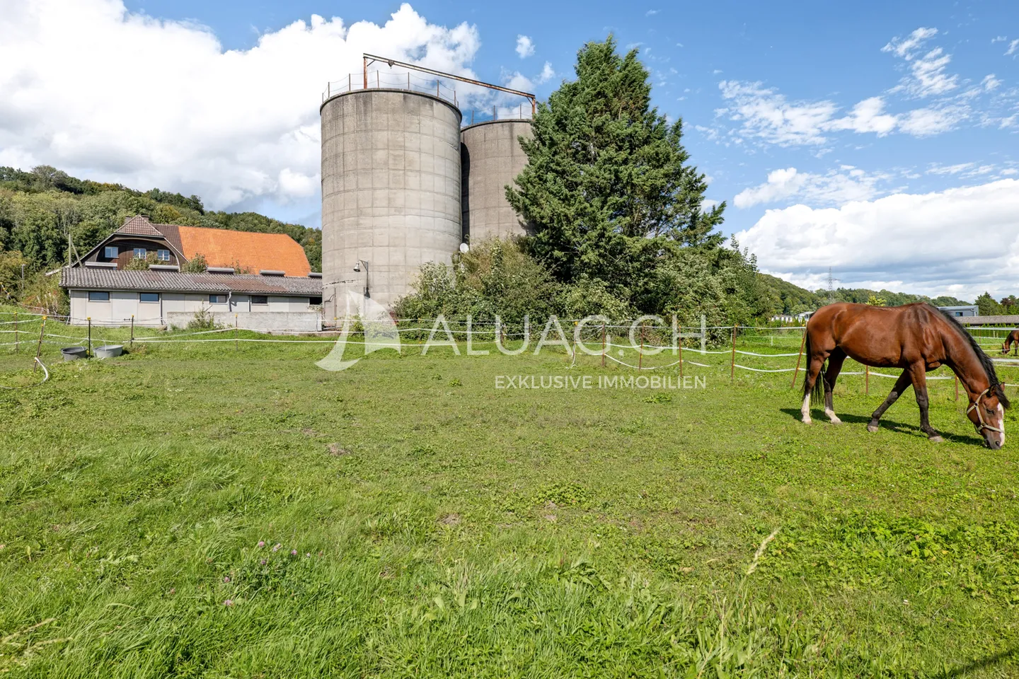 Domaine rural de rêve pour les humains et les animaux - Photo 17 sur 18