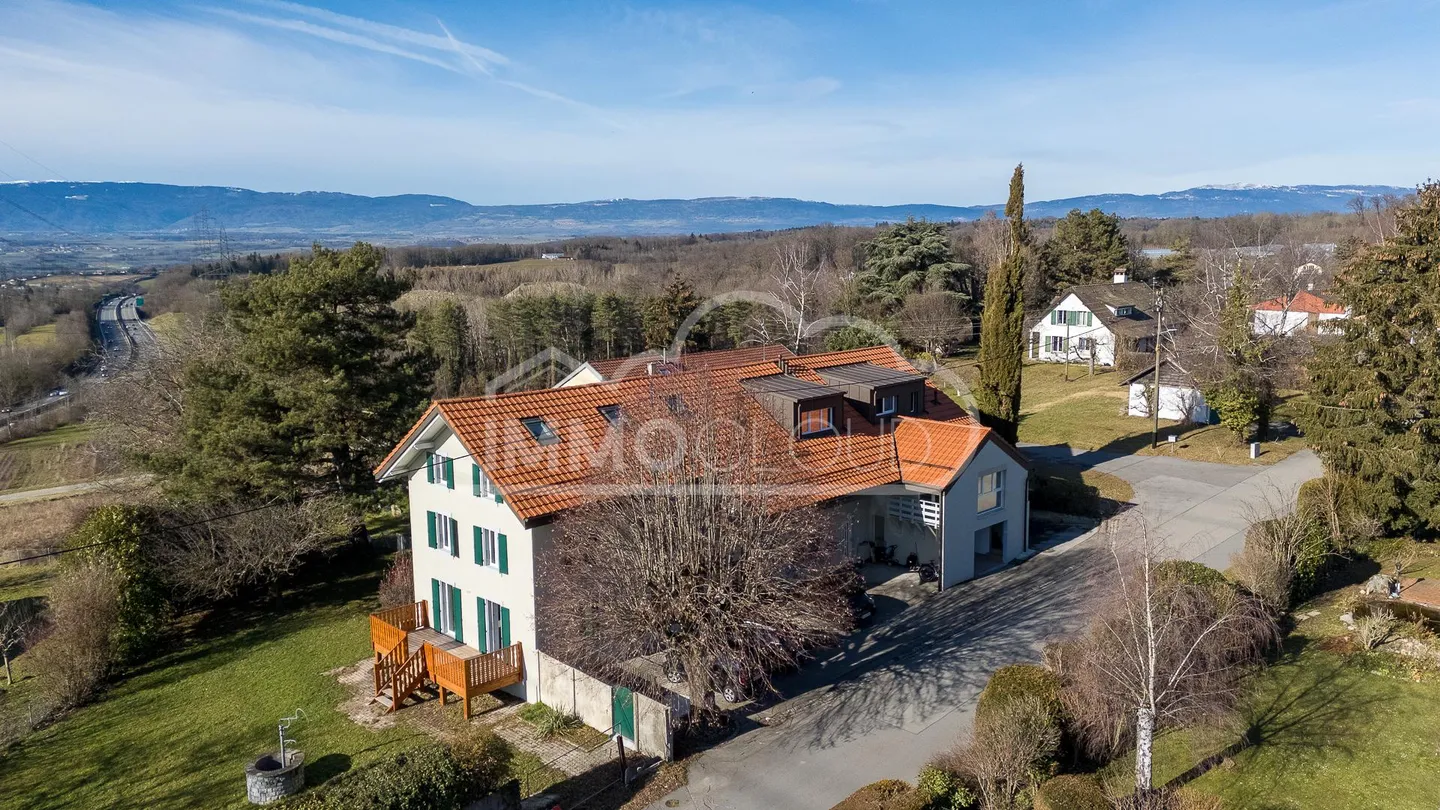 LAST LOT AVAILABLE! - Photo 6 of 13