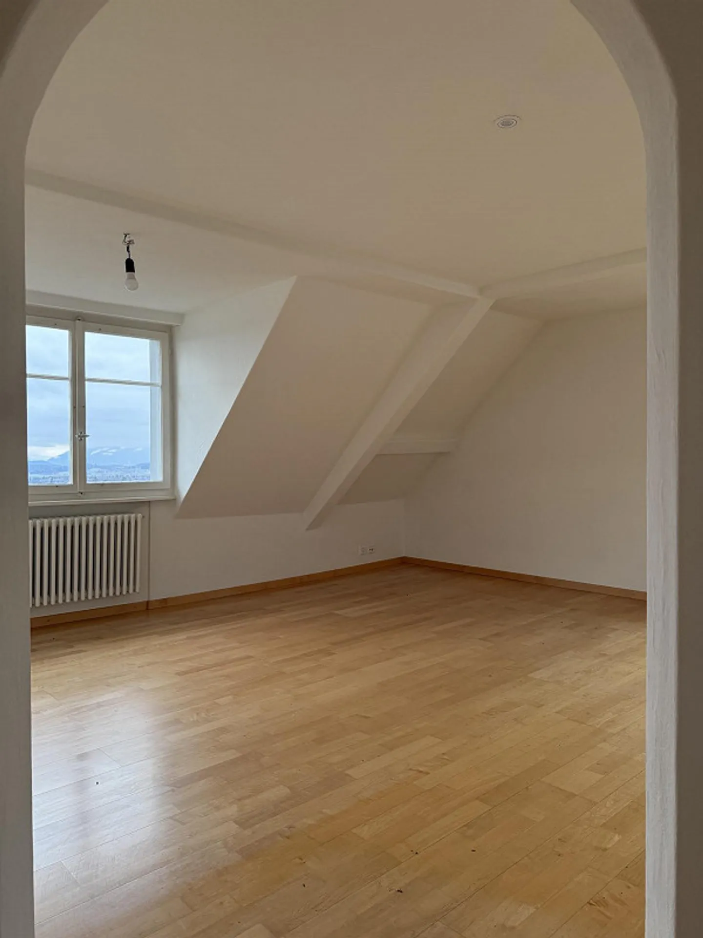 Appartamento affascinante di 2,5 stanze con vista sulle montagne - Foto 3 di 14