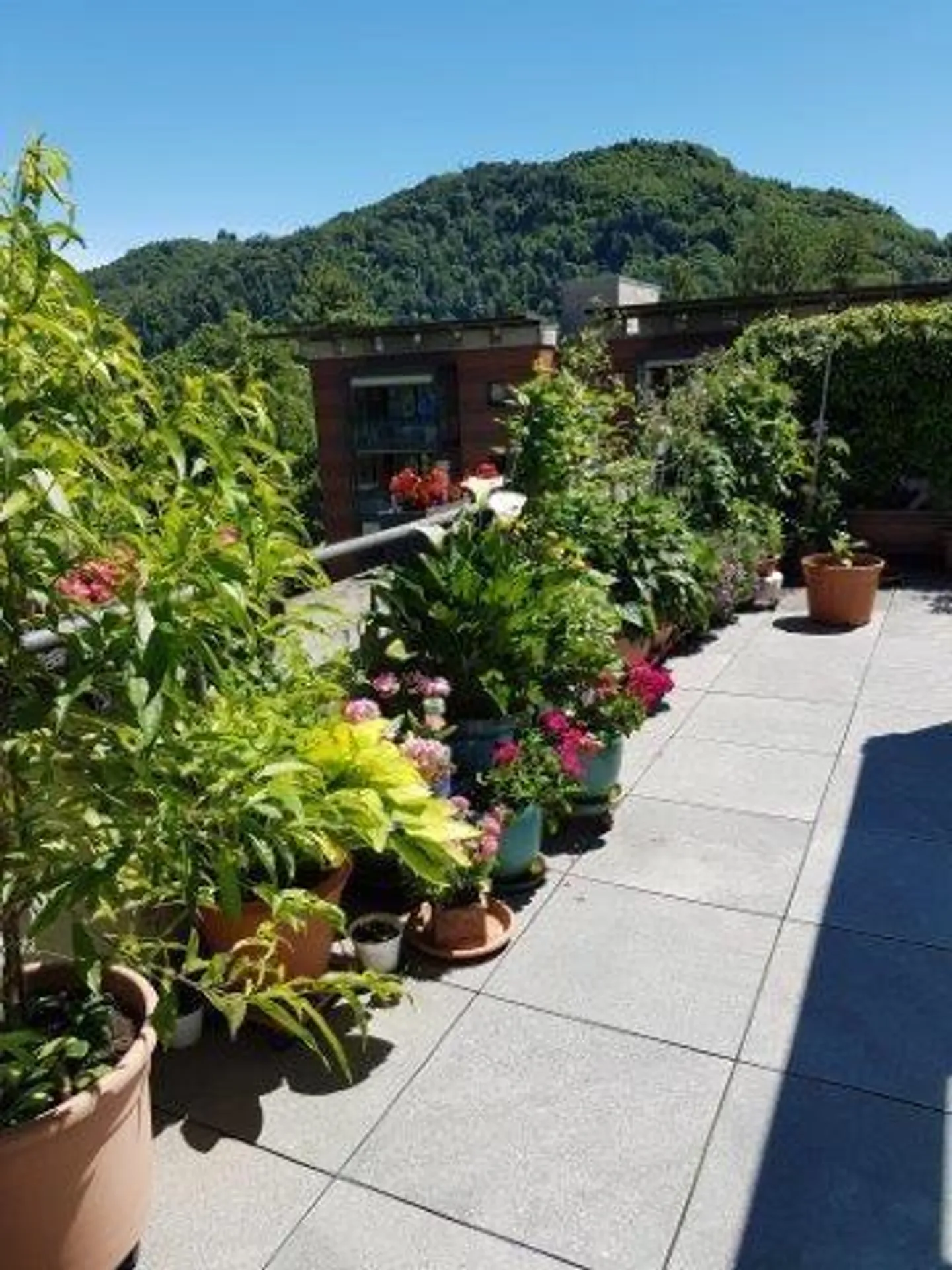 Appartement Attique ensoleillé à Agno - Photo 18 sur 25