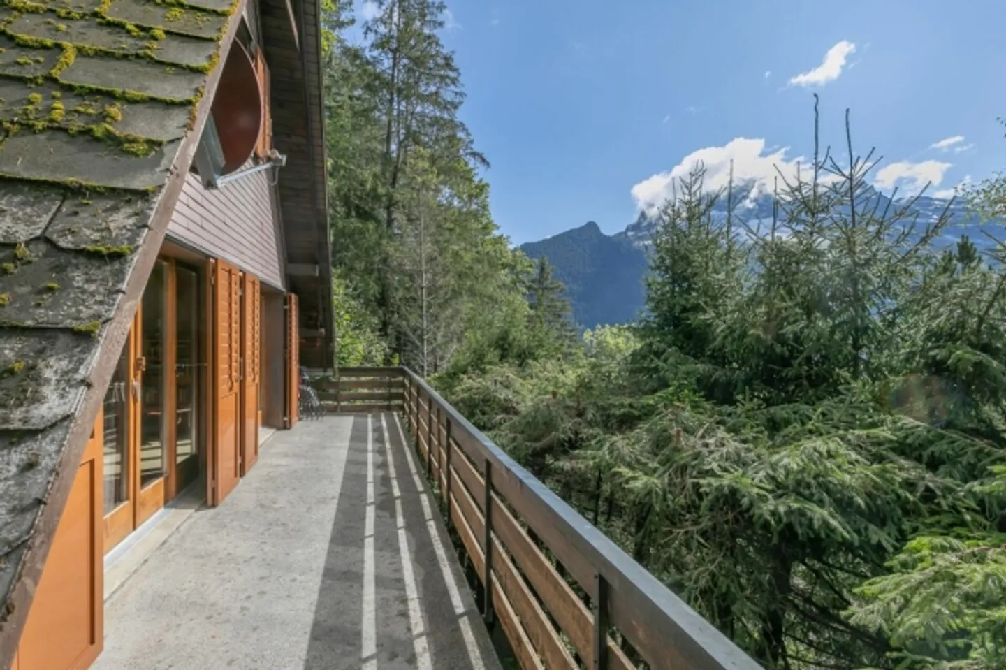 5.5-Room Holiday House in the Pine Forest - Photo 3 of 12
