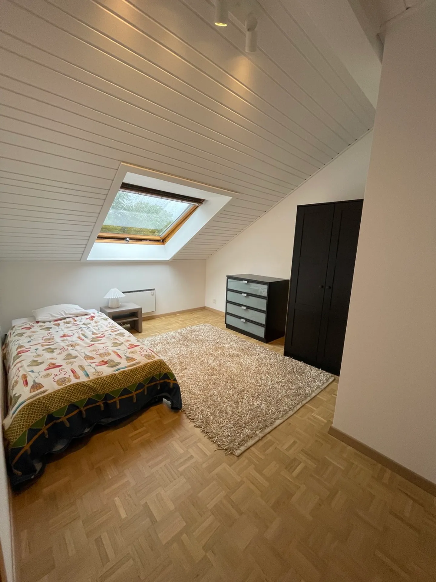 Renovated and Bright Attic - Photo 10 of 11