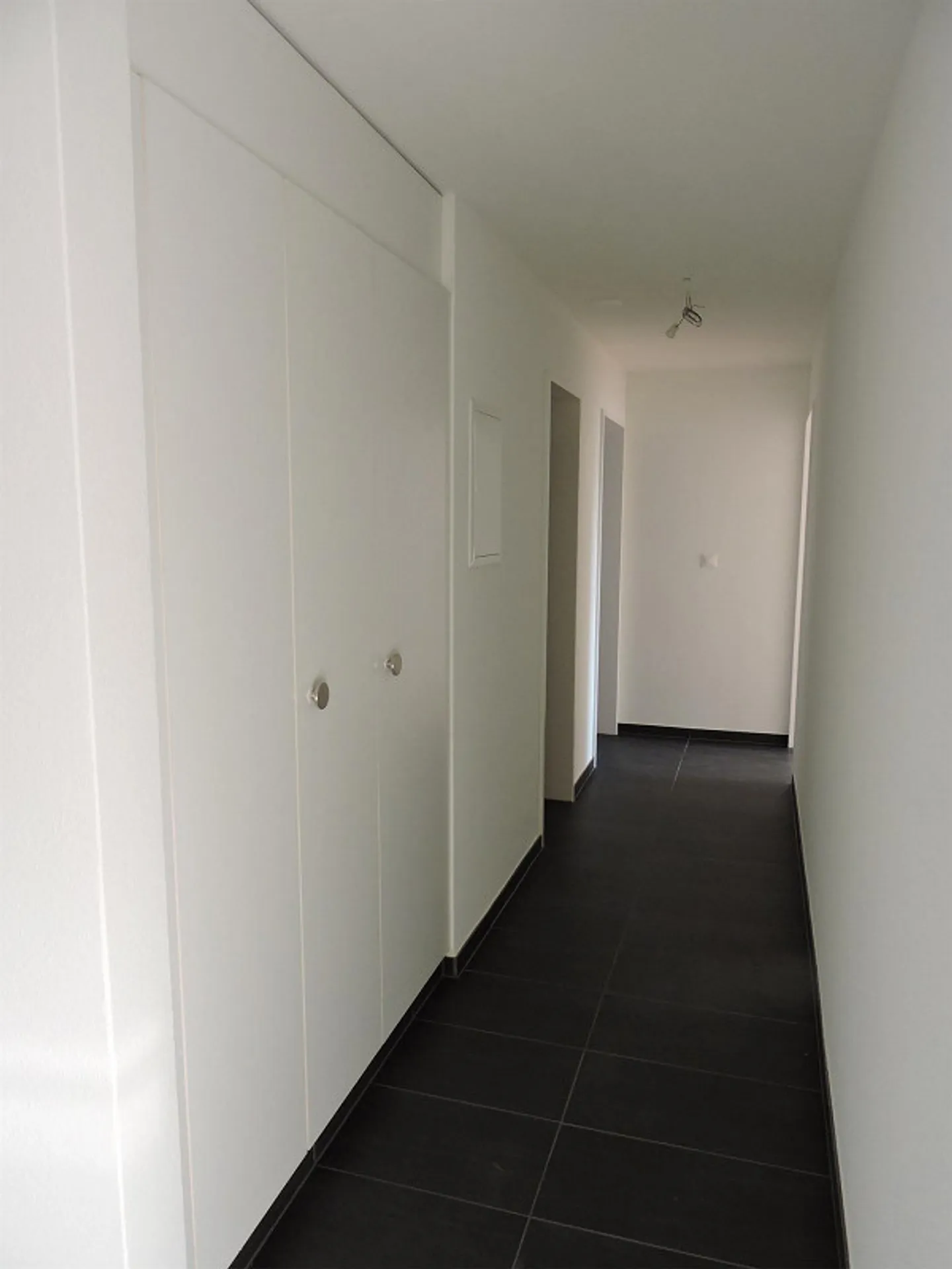 Vivere in famiglia a Muttenz! - Foto 2 di 8