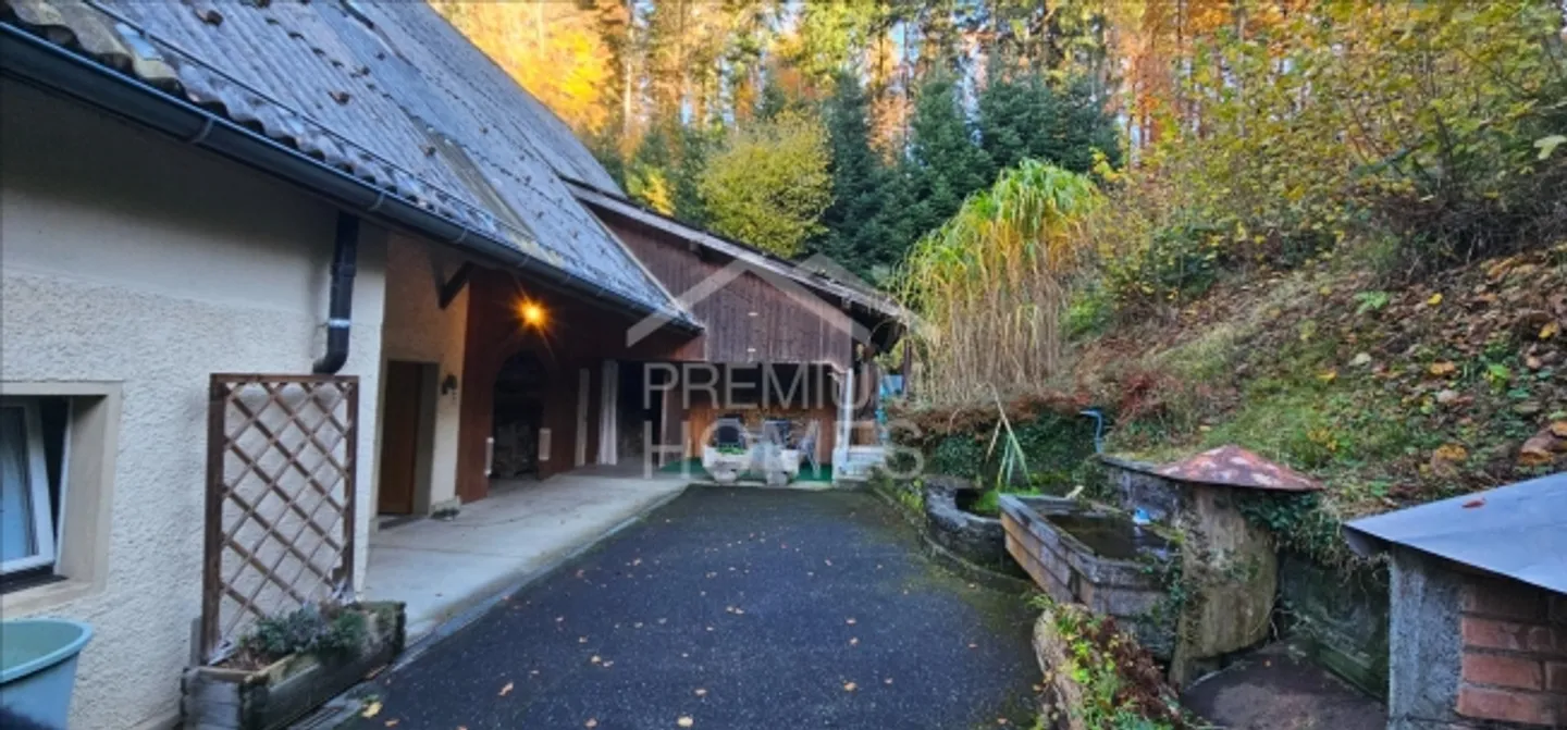 Rural Gem with Two Apartments and Expansive Property - Photo 4 of 4