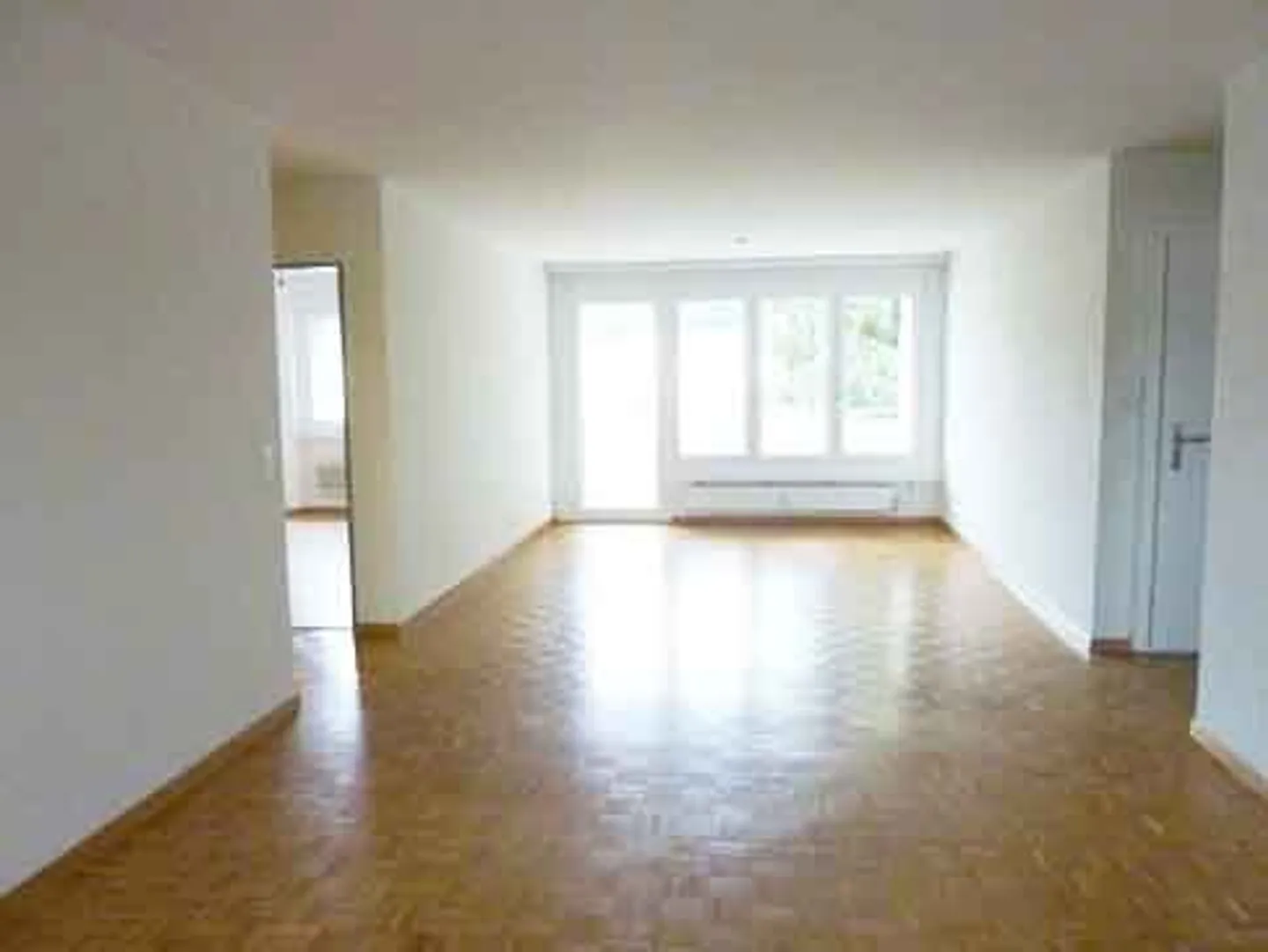 Sunny Single Apartment in the Green - Photo 2 of 4