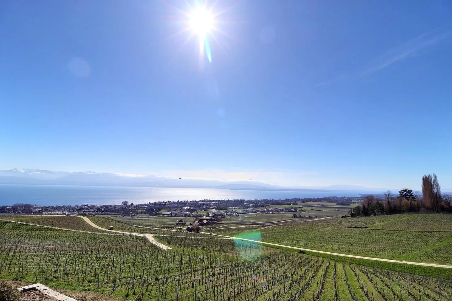 Magnifica casa in viager occupato senza affitto con una meravigliosa vista sul lago - Foto 5 di 15
