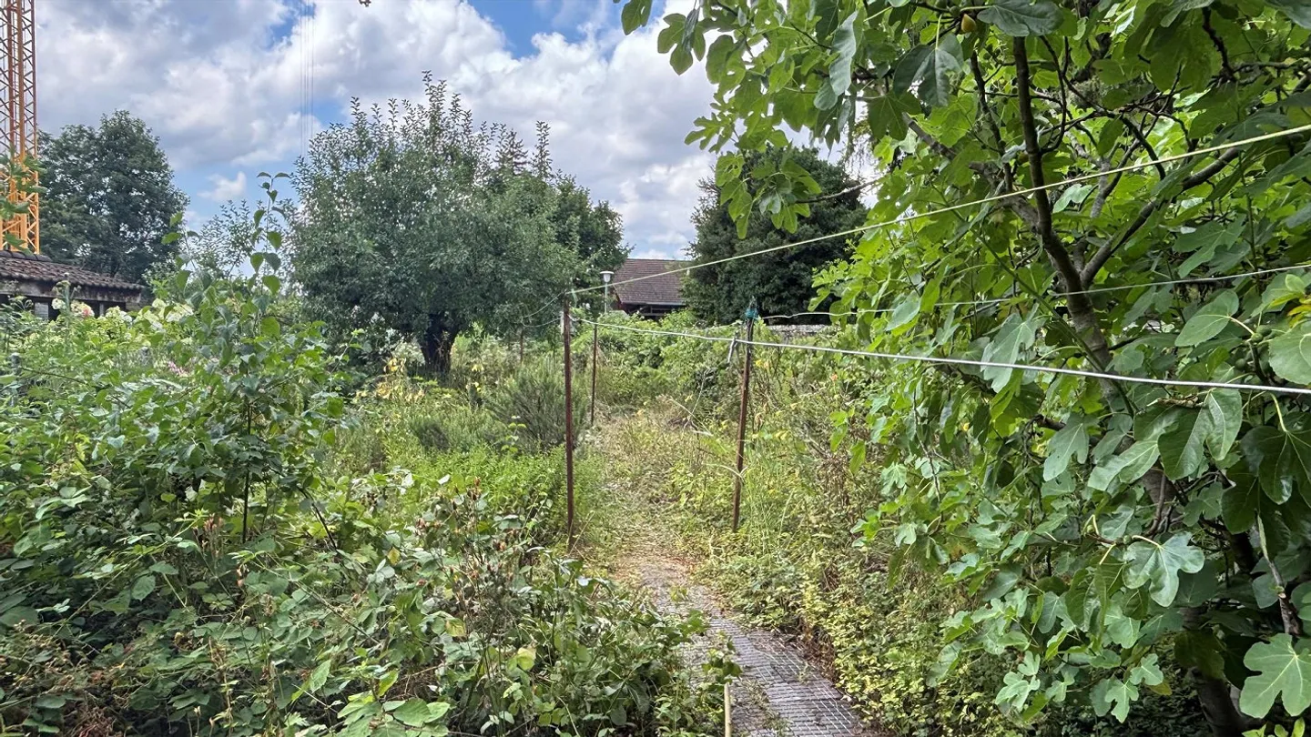 Versatile residential and commercial building in the center of Muttenz - Photo 12 of 13