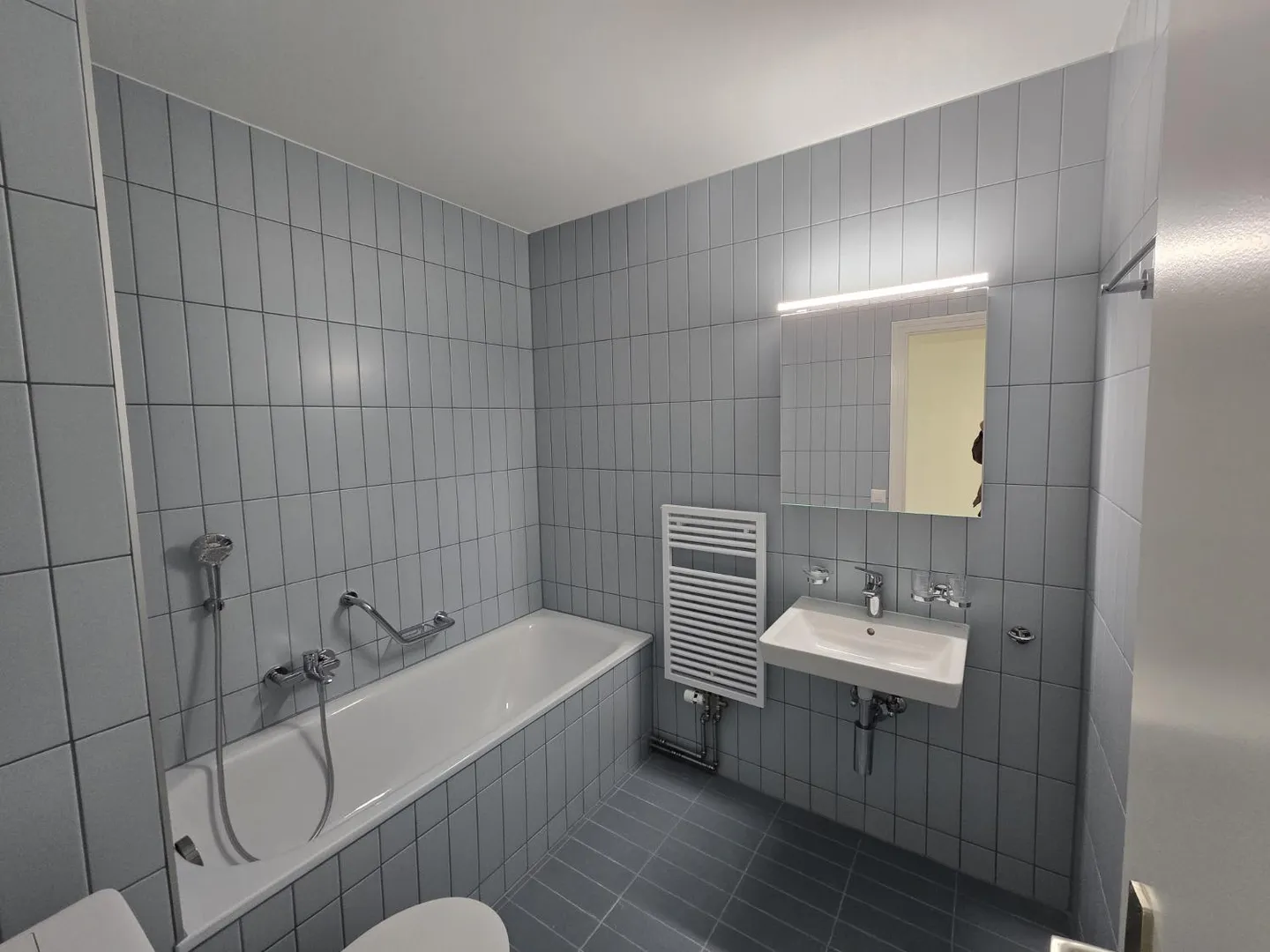 3.5 Room Apartment - Photo 7 of 7