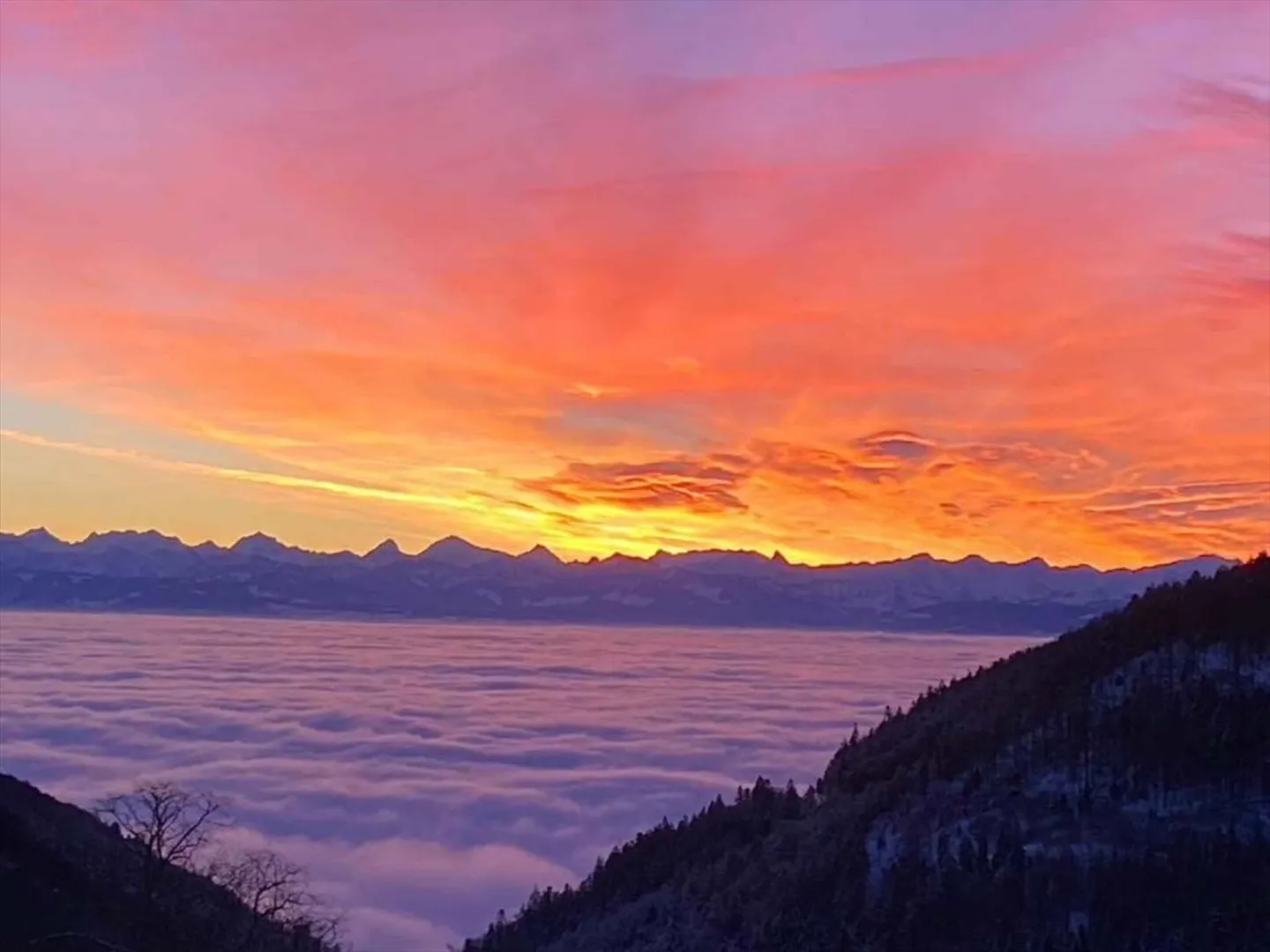 Stupendo appartamento di 4,5 stanze con vista panoramica, 2 balconi, parcheggio coperto, acquisto semplificato per stranieri - Foto 1 di 12
