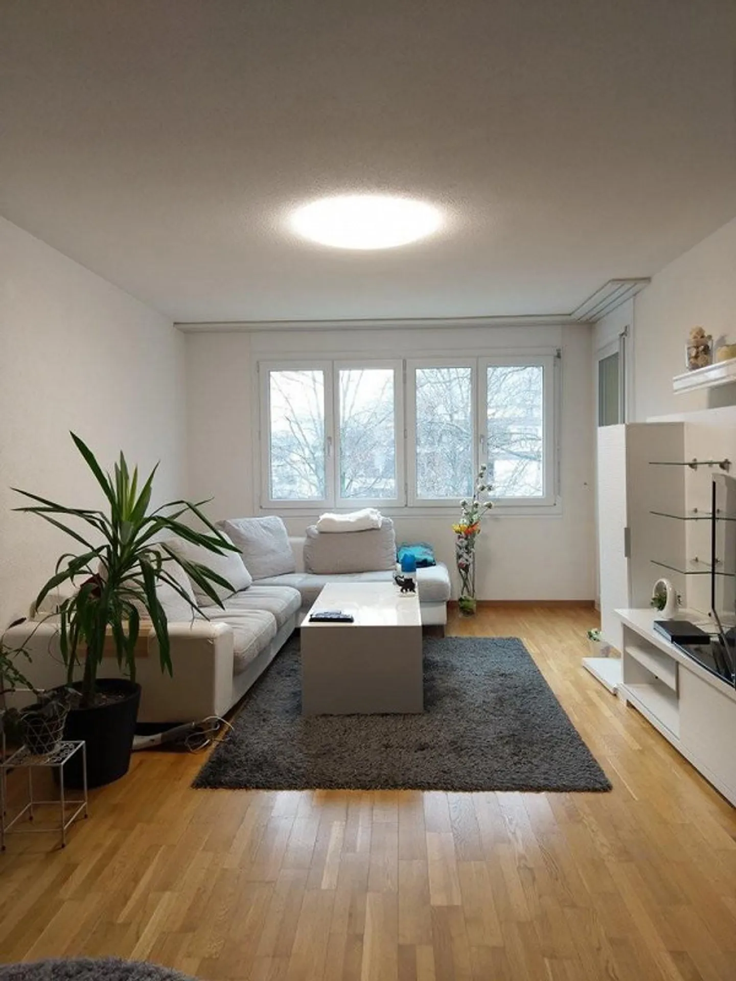 Cozy 3.5 Room Apartment in a Quiet Location - Photo 3 of 9