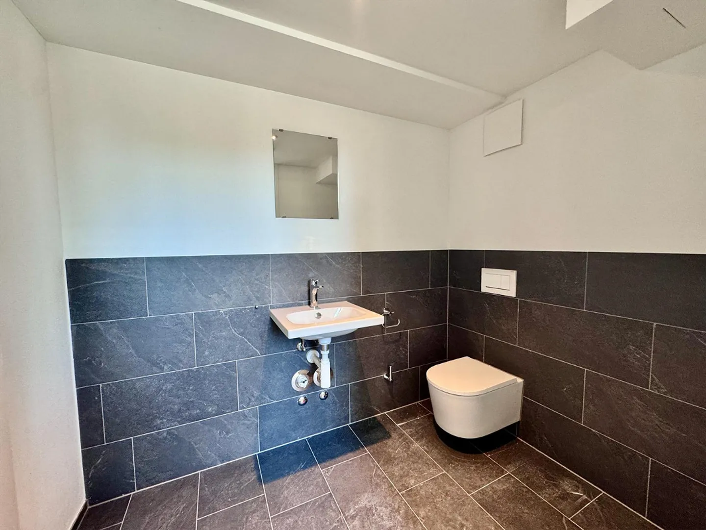 Première location - Votre nouveau site commercial au cœur d'Uster - Photo 4 sur 10