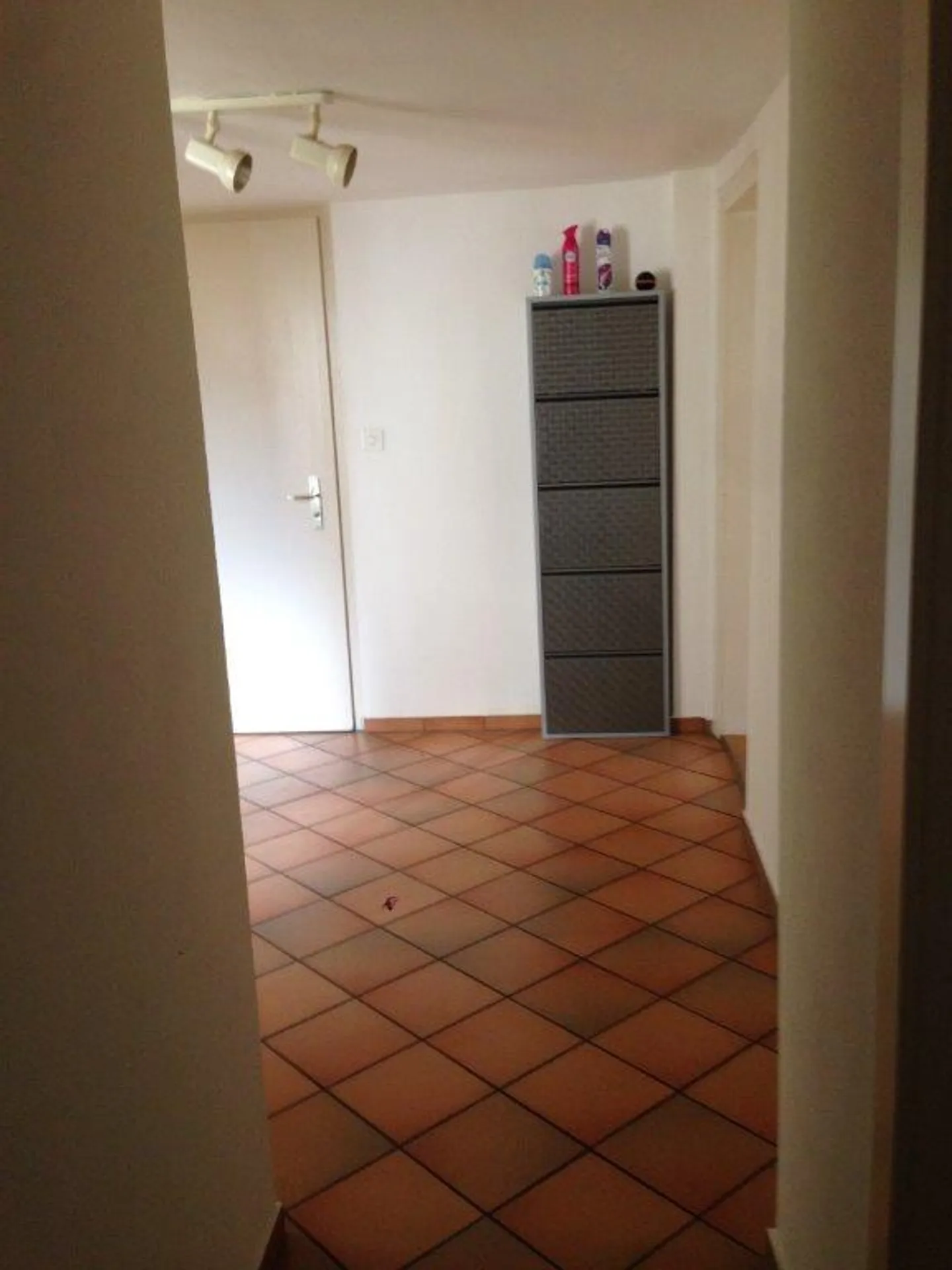 Renovated, large + bright 3 1/2 room apartment - Photo 3 of 14