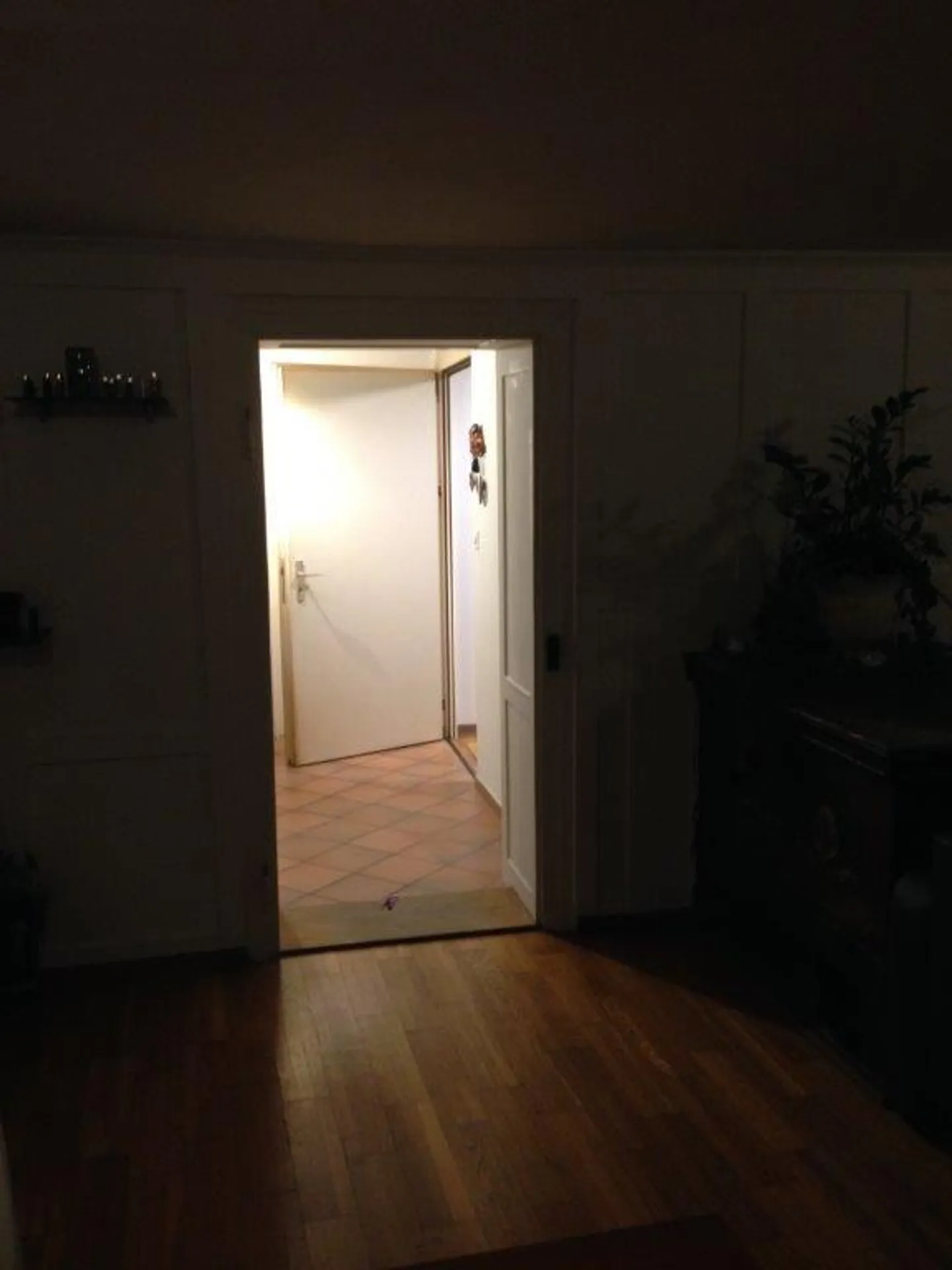 Renovated, large + bright 3 1/2 room apartment - Photo 4 of 14