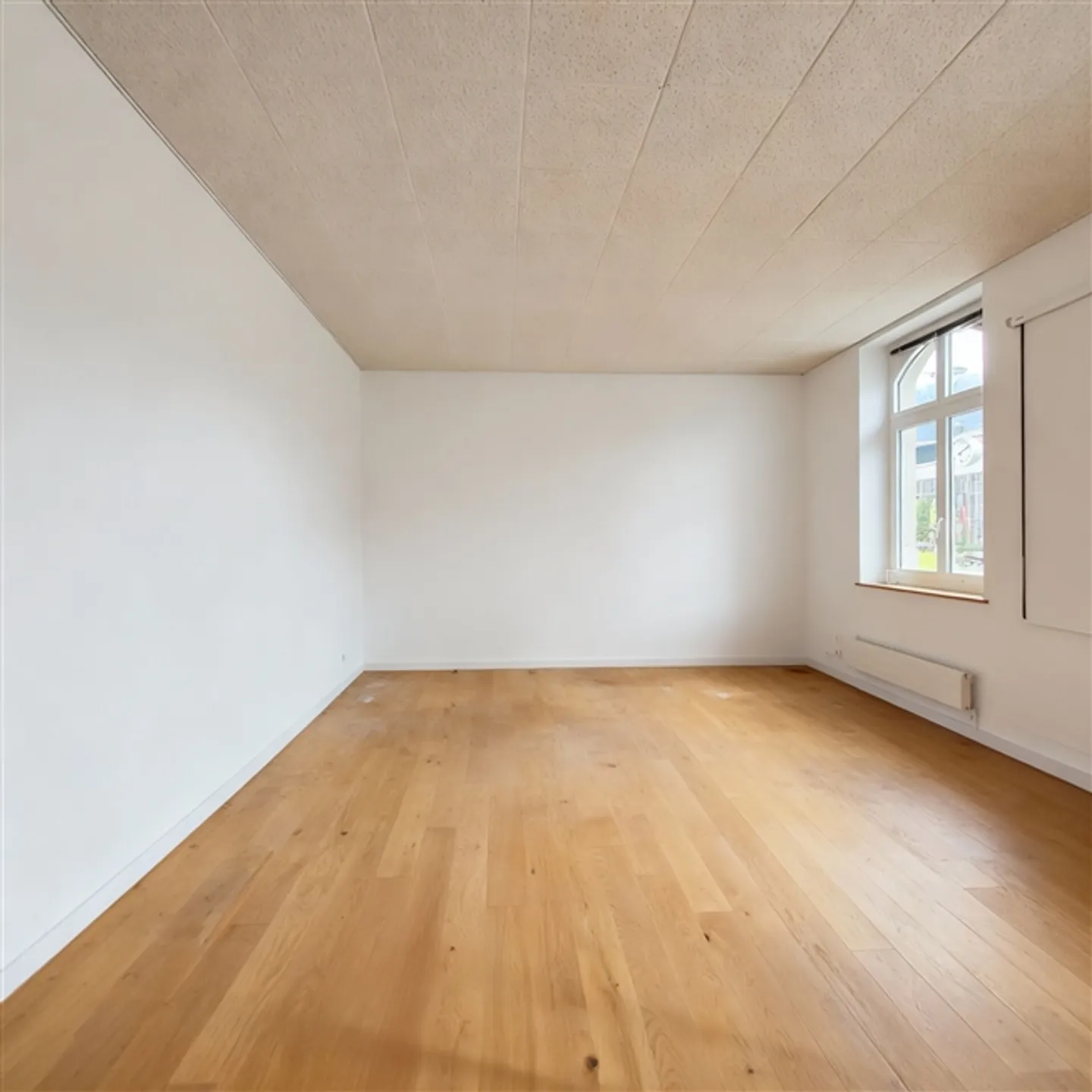 BHF Näfels-Mollis Attractive Sales, Gastro or Office Space - Photo 6 of 11