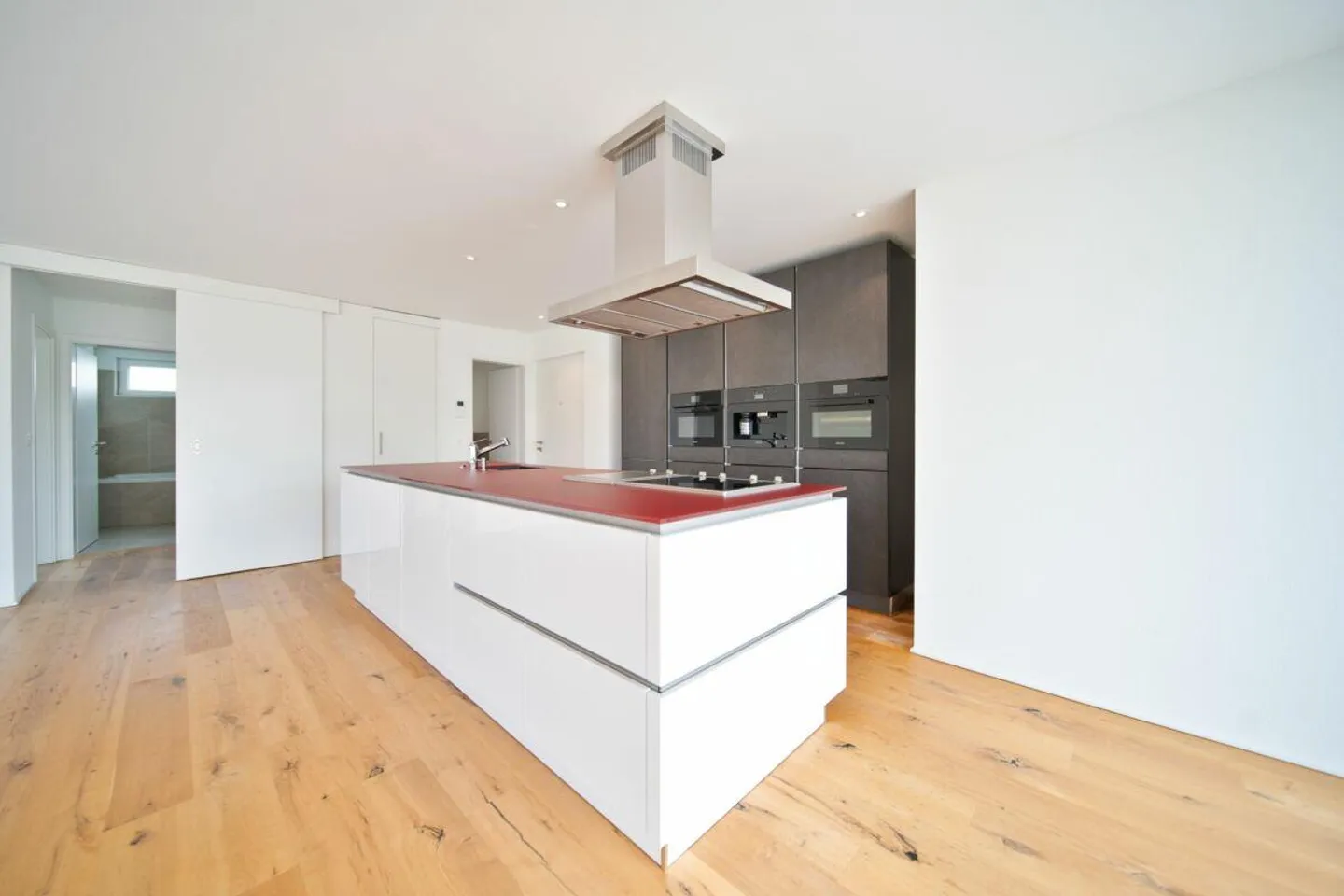 Dreamlike 2.5 Room Apartment with Rhine View - Photo 3 of 9