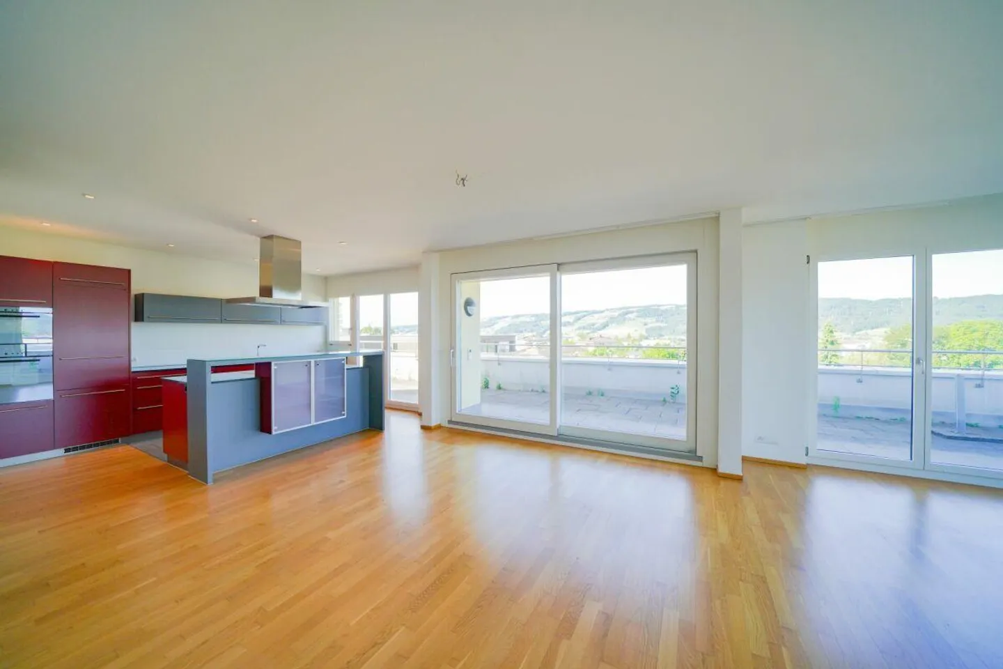 Penthouse Apartment with Panorama Terrace - Photo 4 of 9